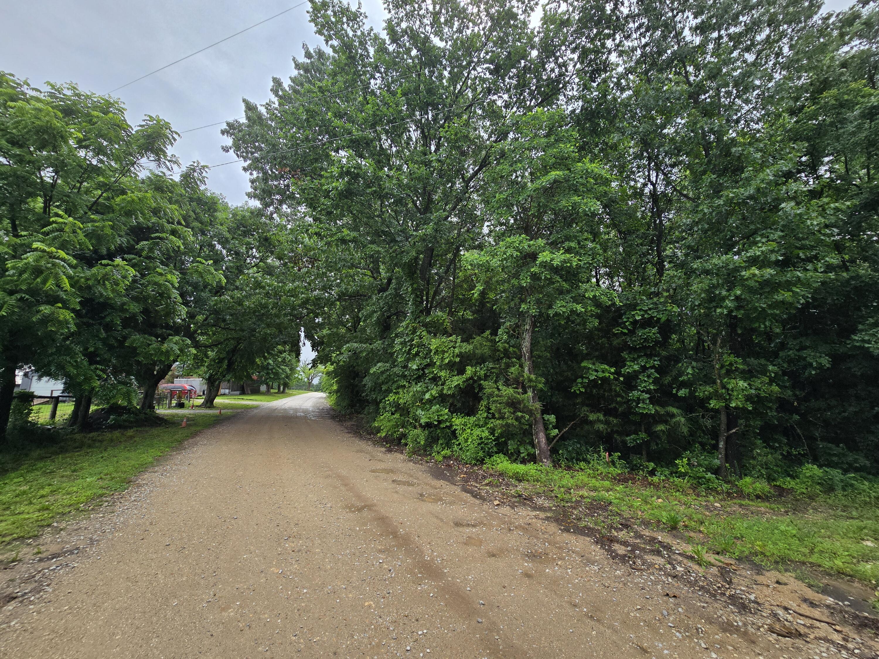 16882 Old Cricket Road West Property Photo 13