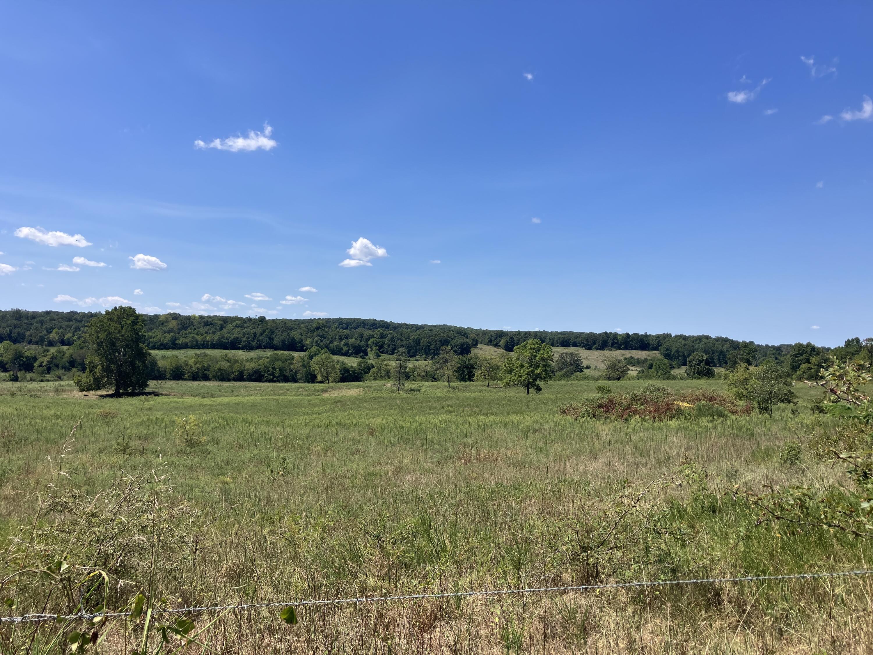 000 County Road 7040 Property Photo 12
