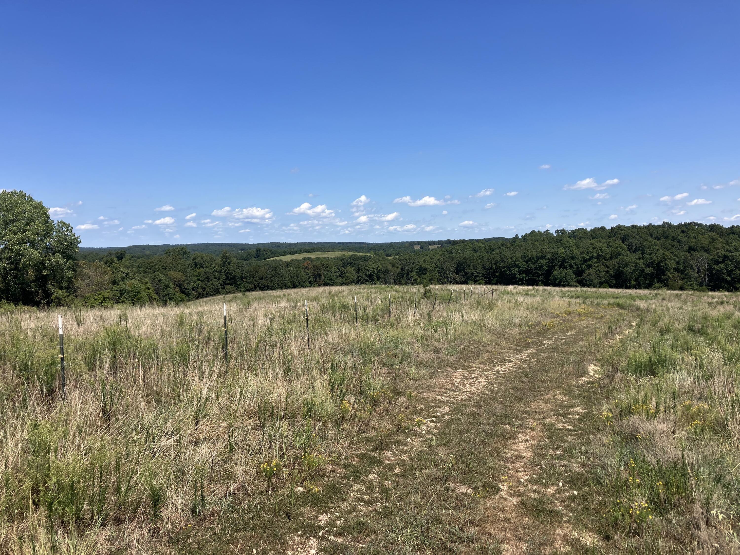 000 County Road 7040 Property Photo 13