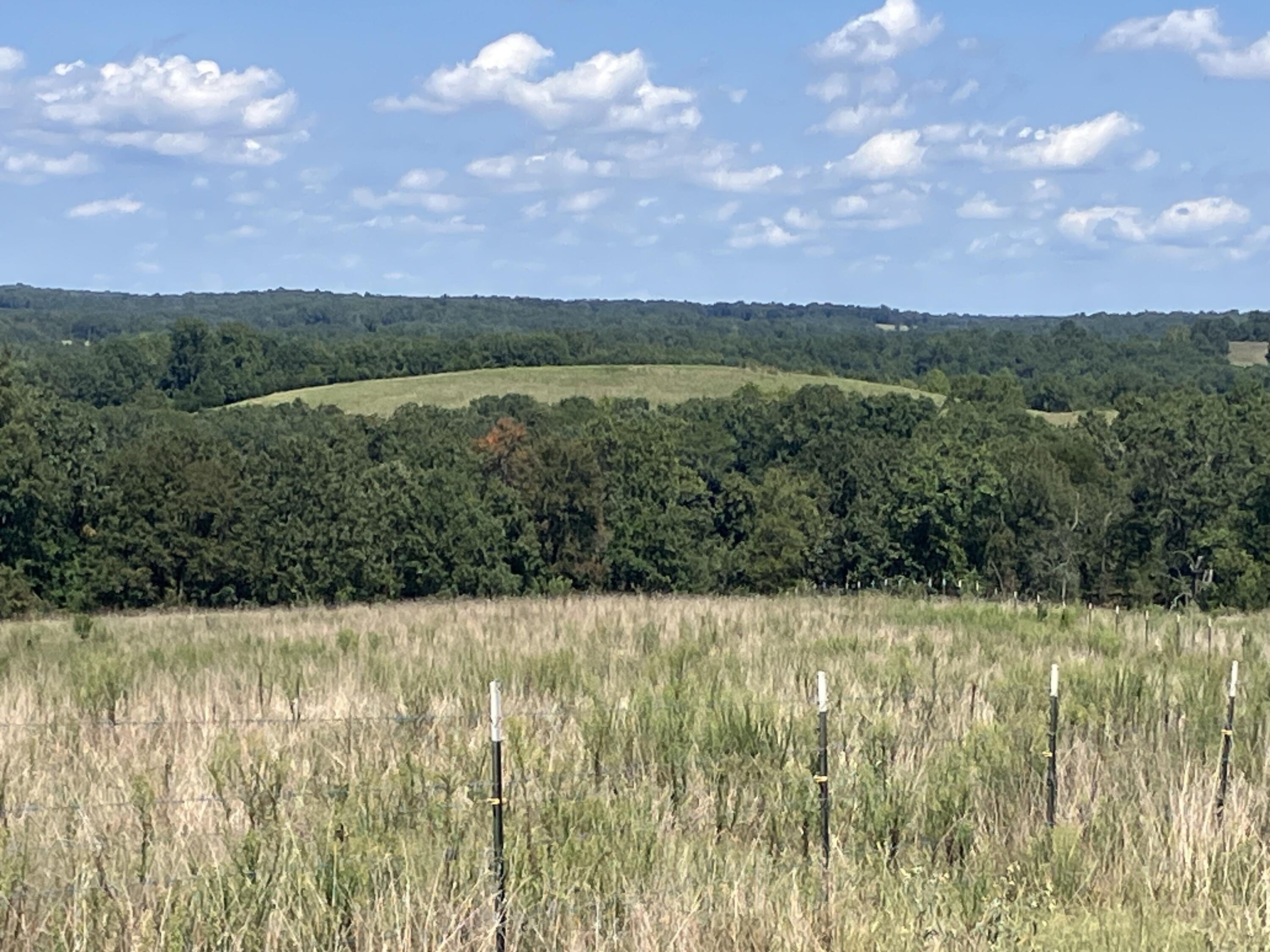 000 County Road 7040 Property Photo 14