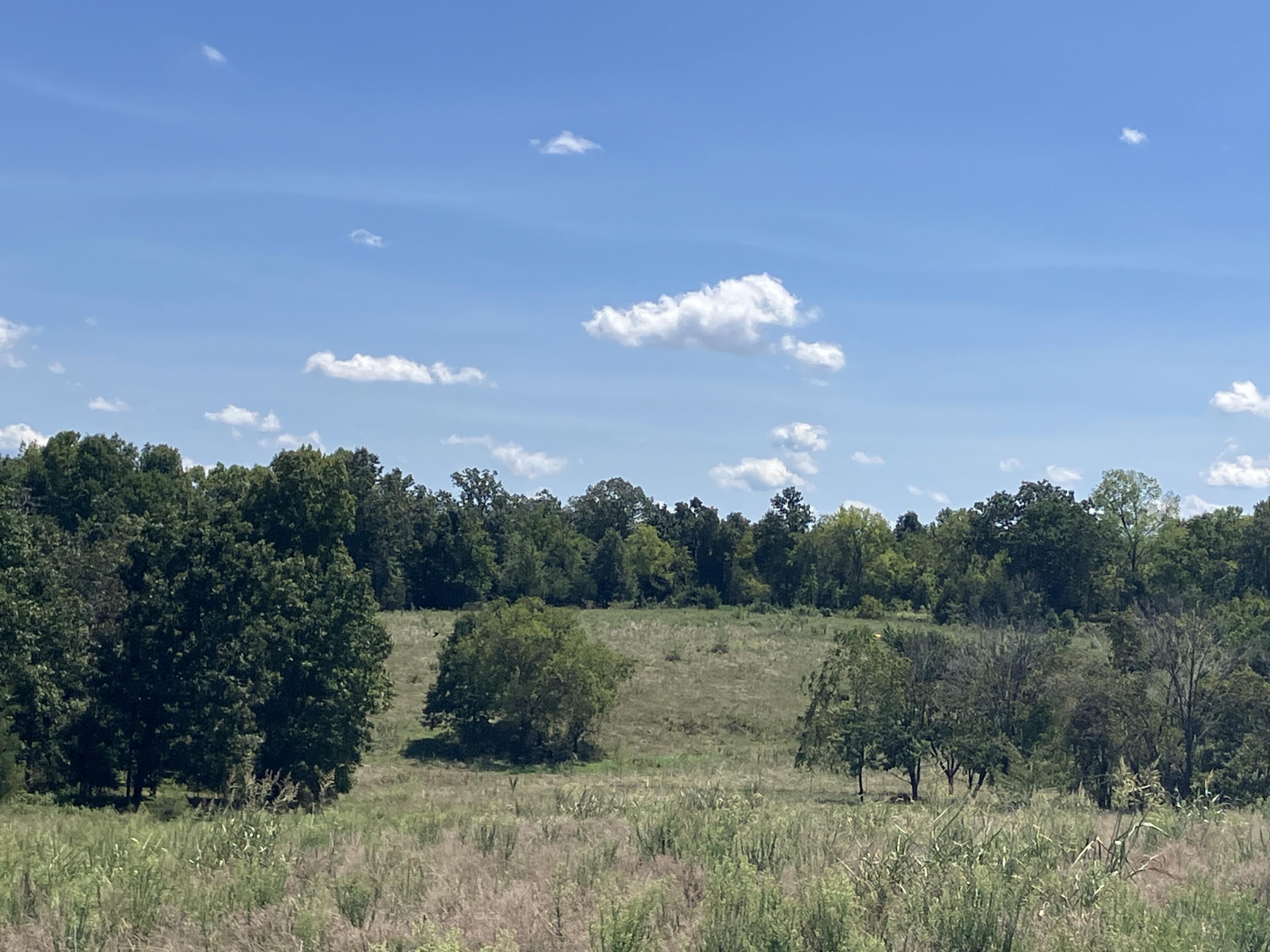 000 County Road 7040 Property Photo 15