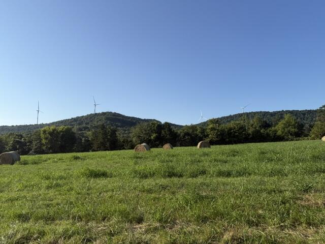 Tbd County Road 906 Property Photo 4
