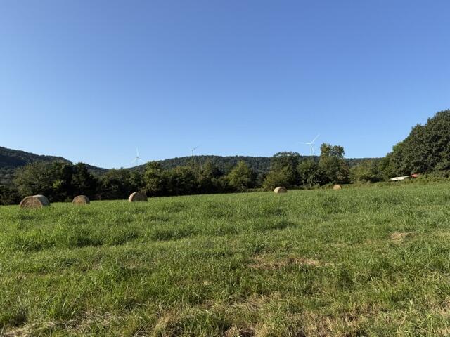 Tbd County Road 906 Property Photo 5