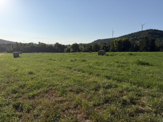 Tbd County Road 906 Property Photo 6