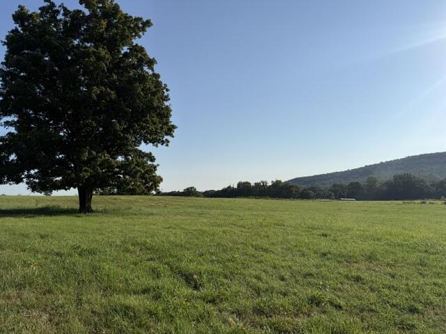 Tbd County Road 906 Property Photo 8