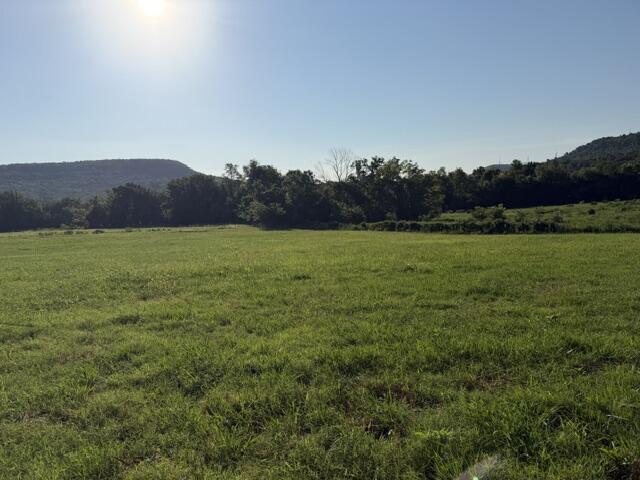 Tbd County Road 906 Property Photo 9