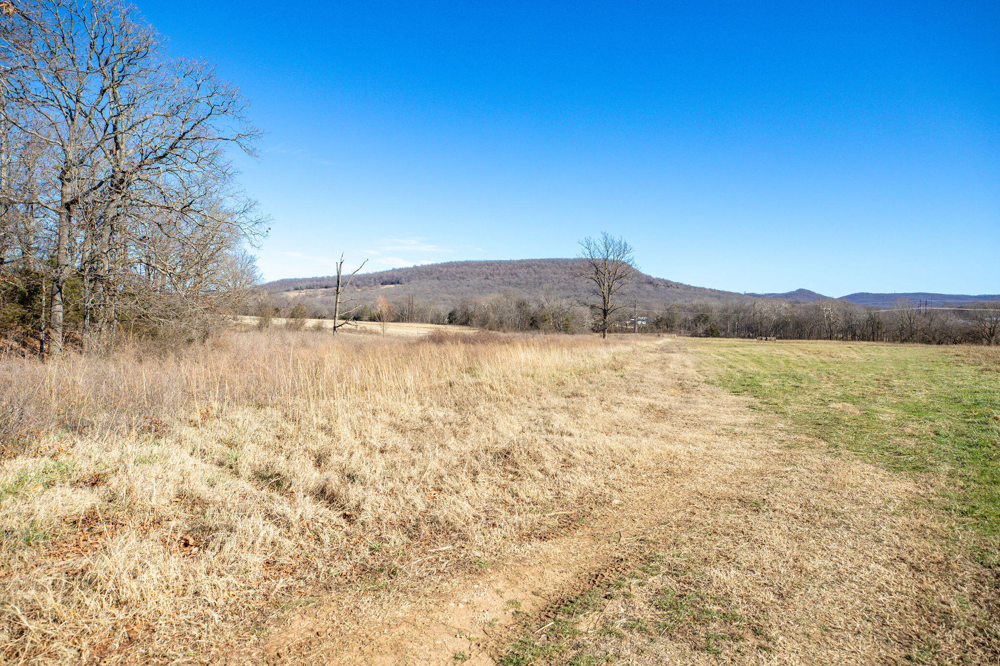 Tbd County Road 906 Property Photo 13