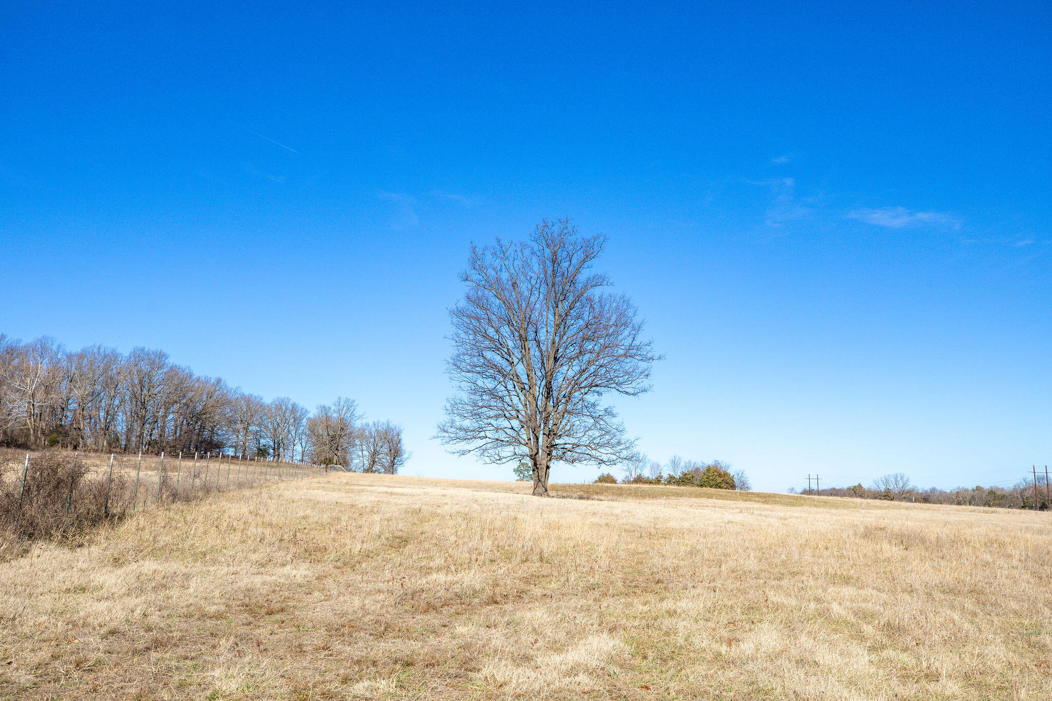 Tbd County Road 906 Property Photo 15