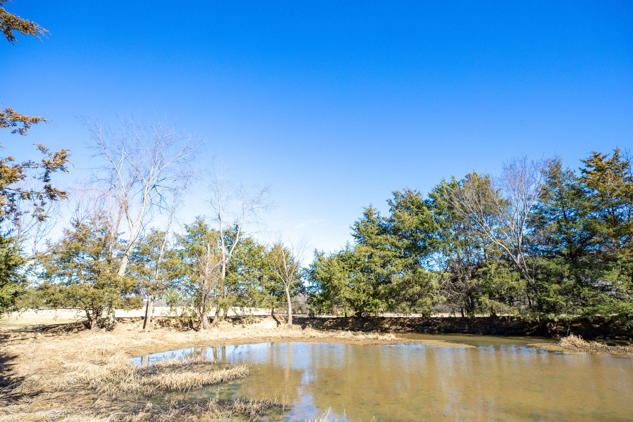 Tbd County Road 906 Property Photo 16