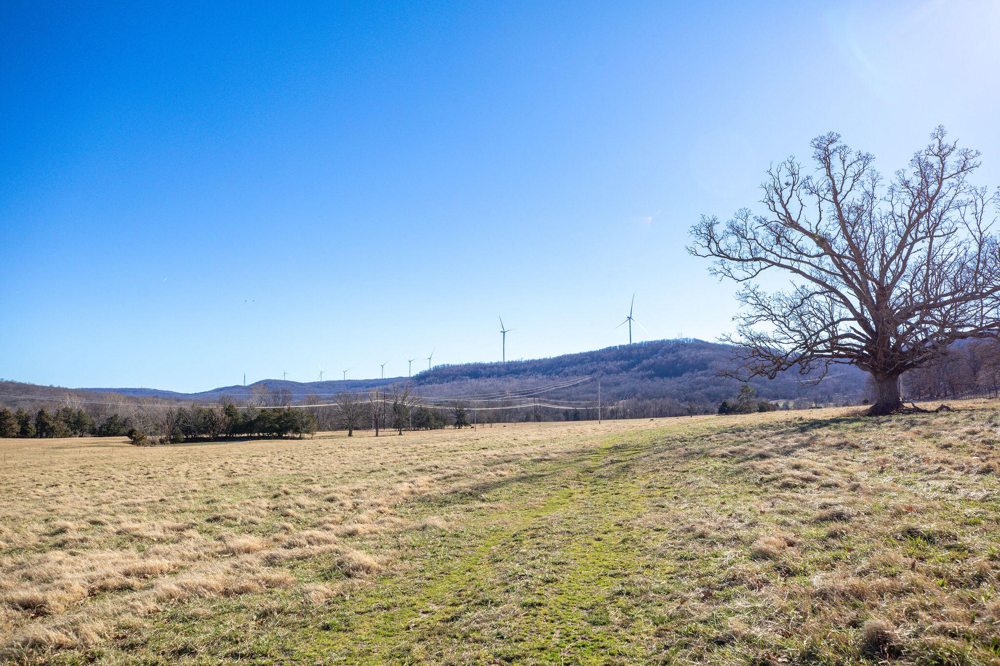 Tbd County Road 906 Property Photo 17