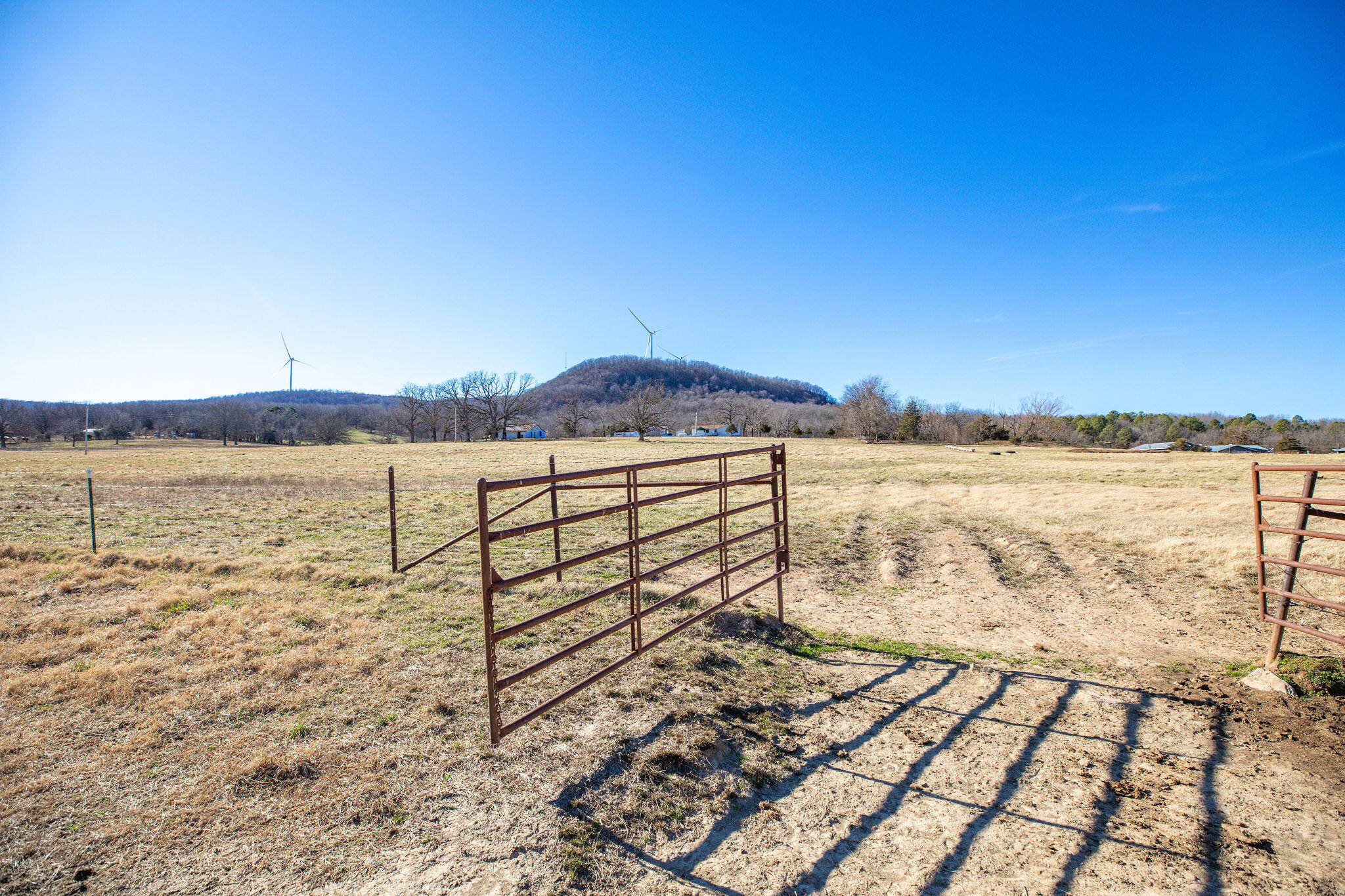 Tbd County Road 906 Property Photo 19