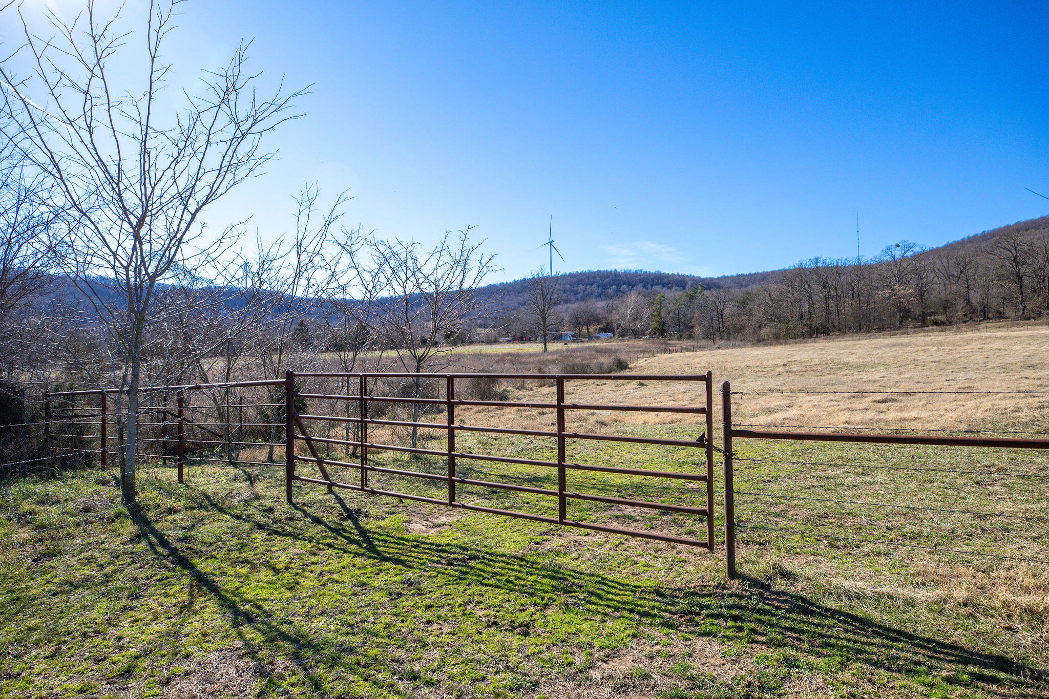 Tbd County Road 906 Property Photo 24