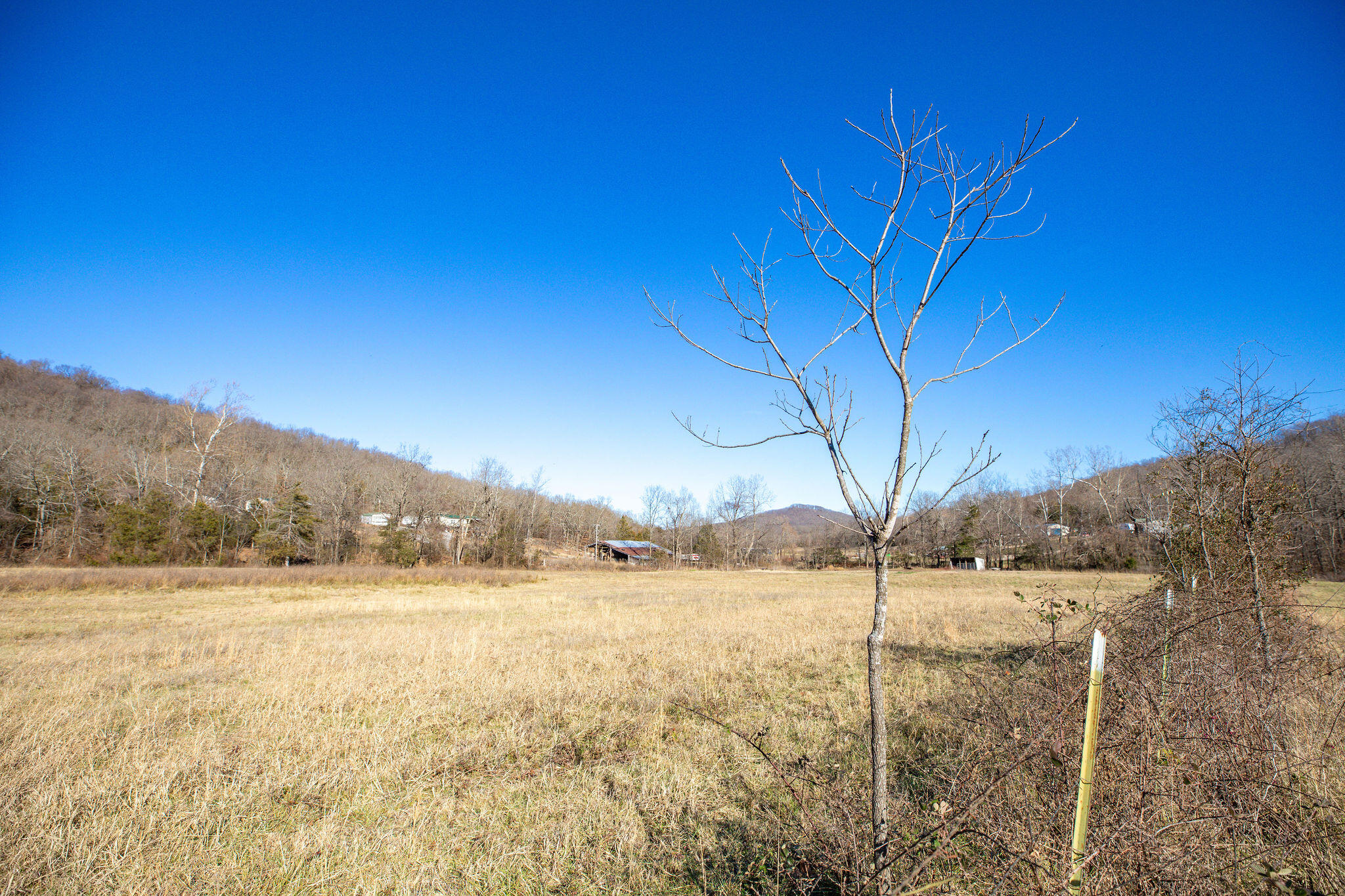 Tbd County Road 906 Property Photo 27