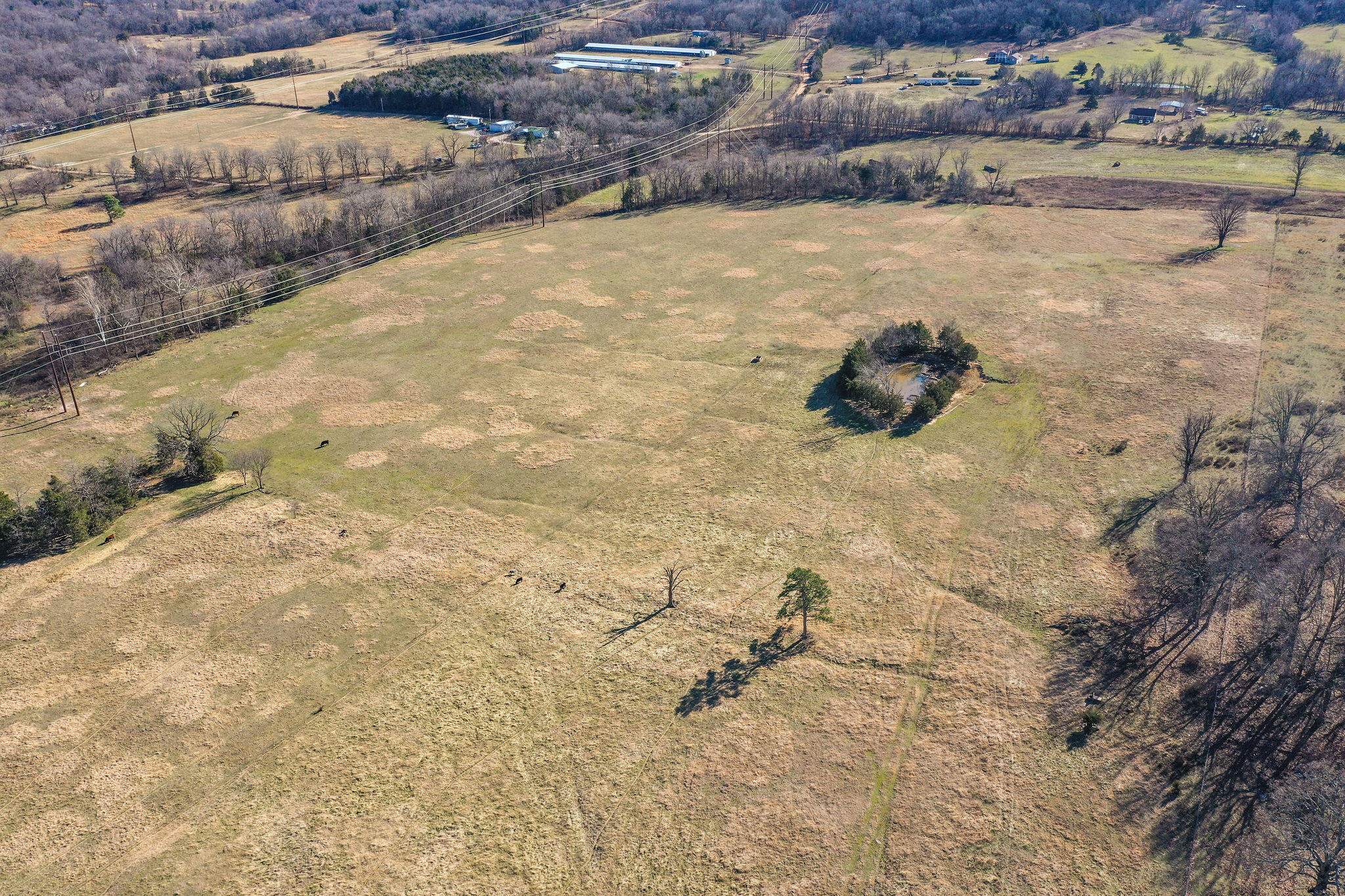 Tbd County Road 906 Property Photo 38
