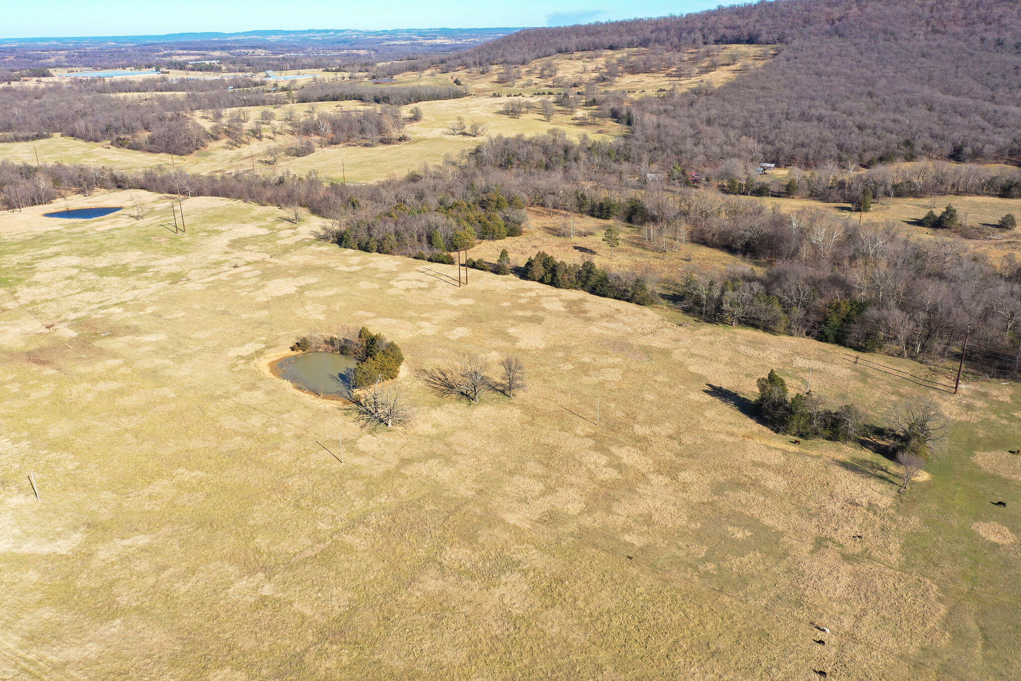 Tbd County Road 906 Property Photo 39