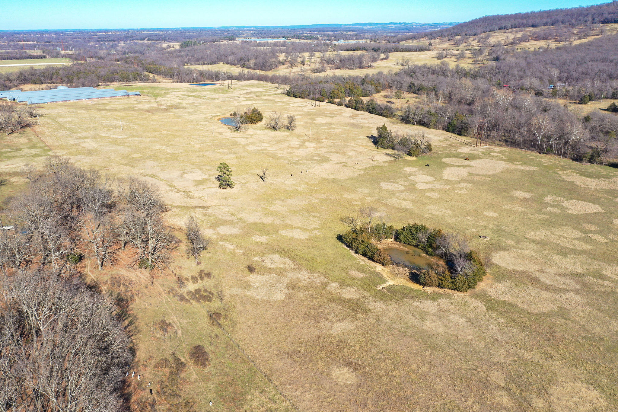 Tbd County Road 906 Property Photo 40