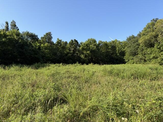 Tbd County Road 9068 Property Photo 2