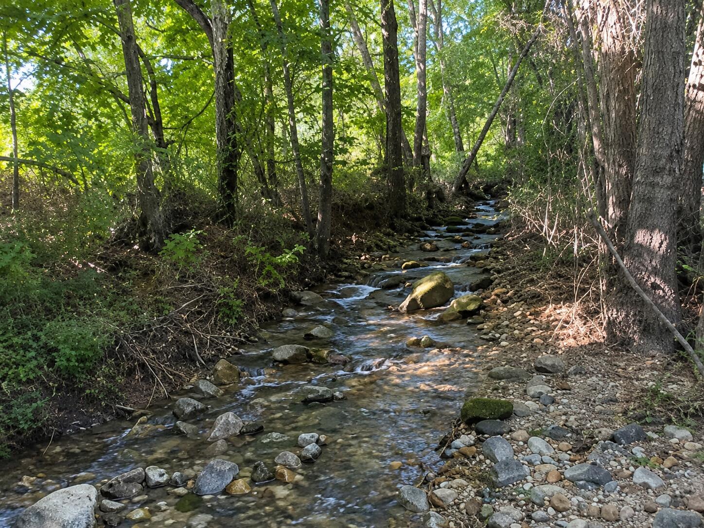 Tbd County Road 9068 Property Photo 3