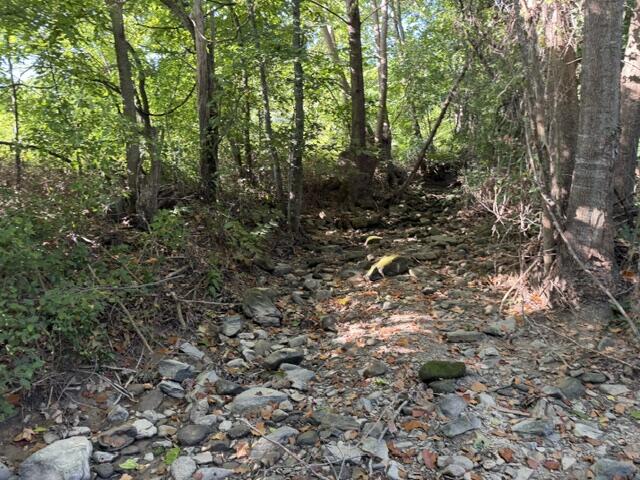Tbd County Road 9068 Property Photo 5