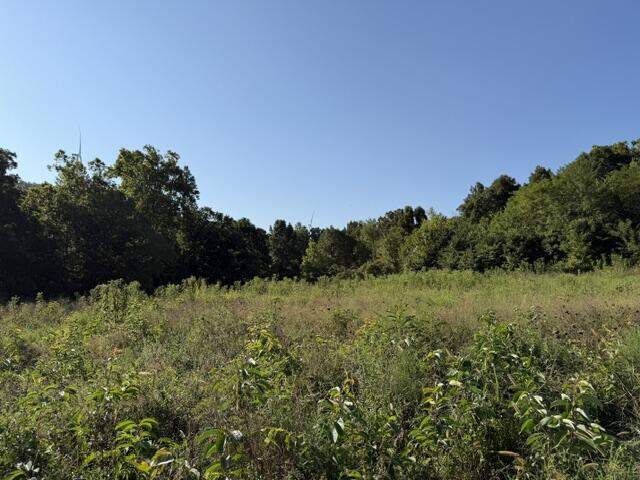 Tbd County Road 9068 Property Photo 7