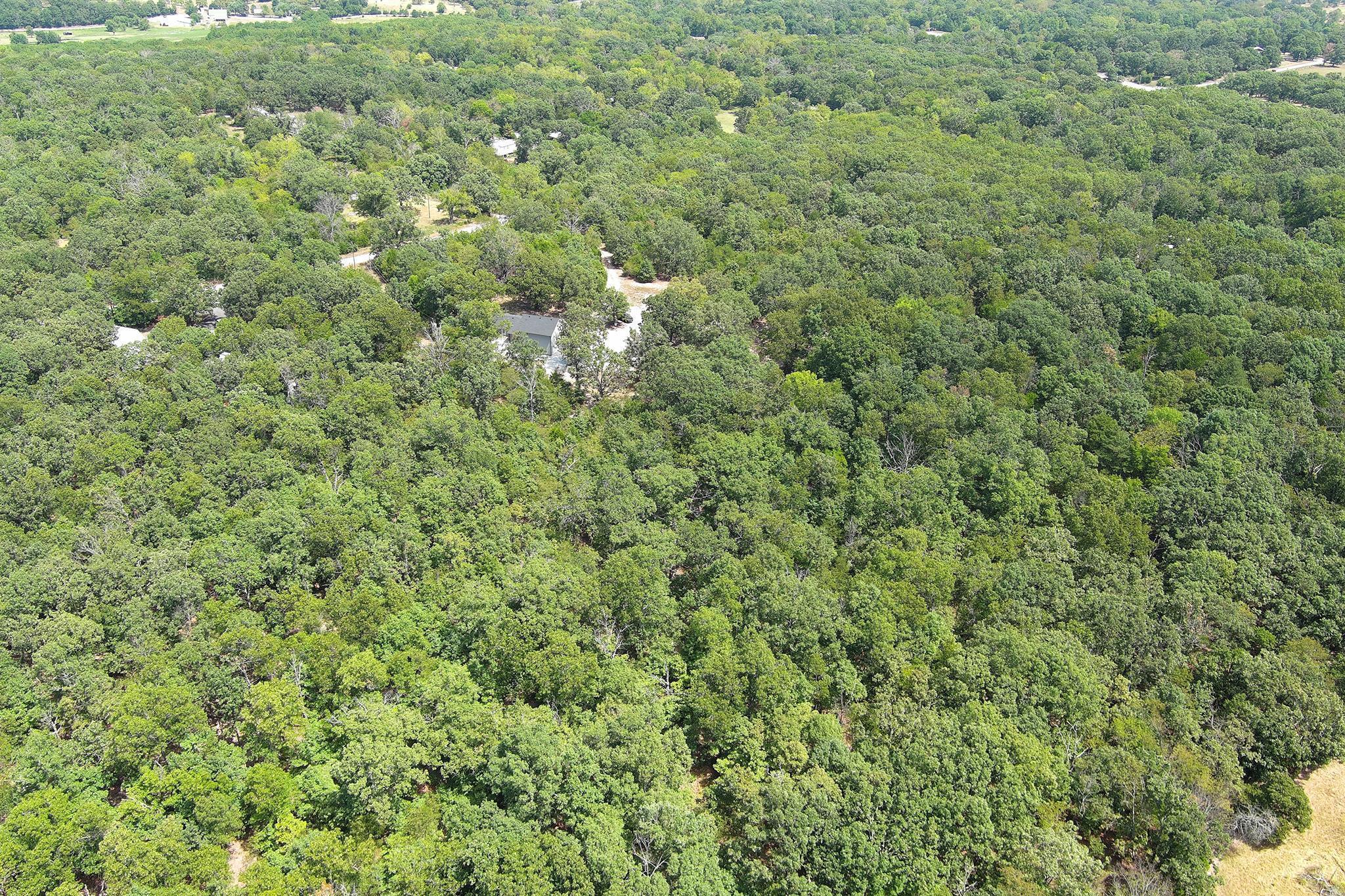 4247 Gum Road Property Photo 30