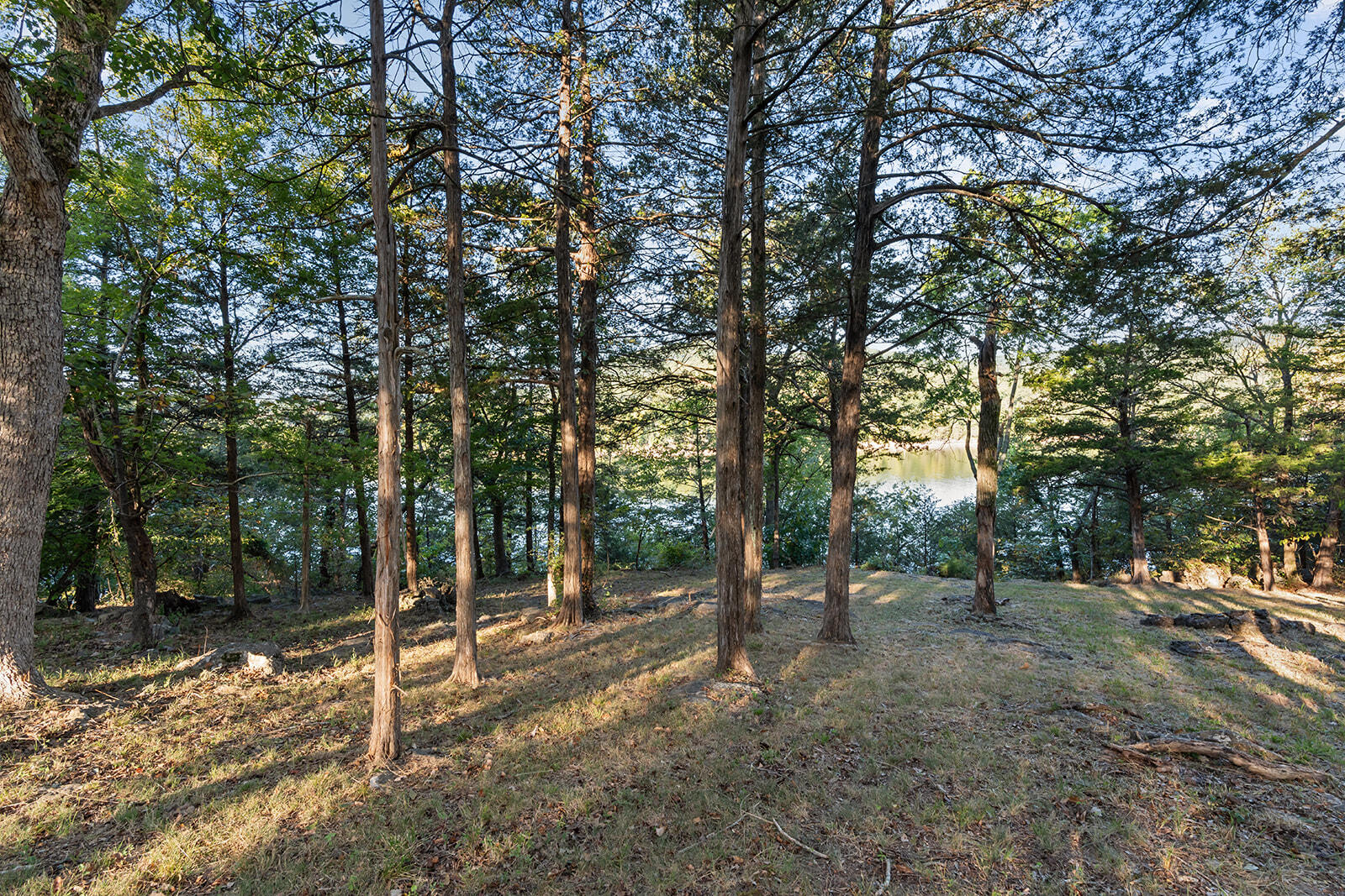 29209 Station Lane Property Photo 4