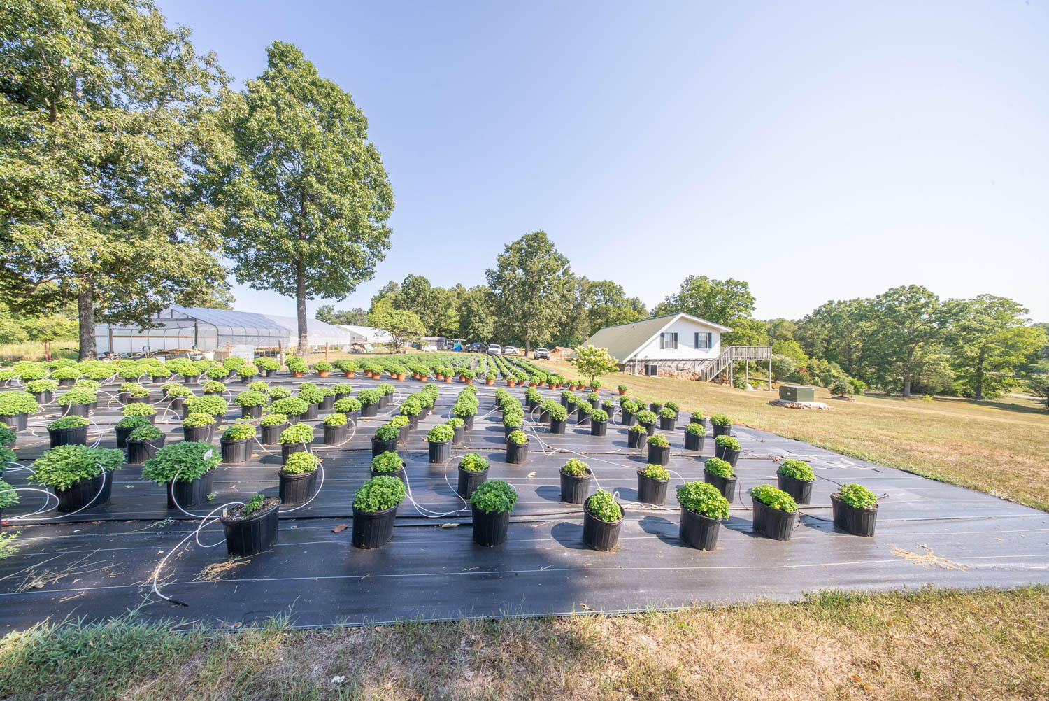 11092 Highway 9 Property Photo 45