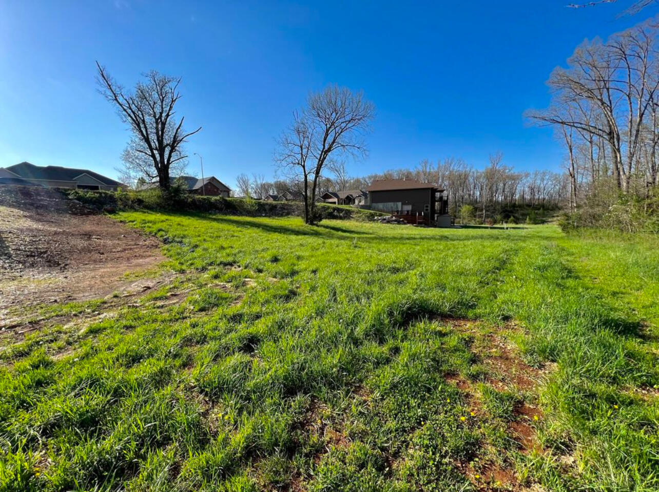 716 South Peach Property Photo 3