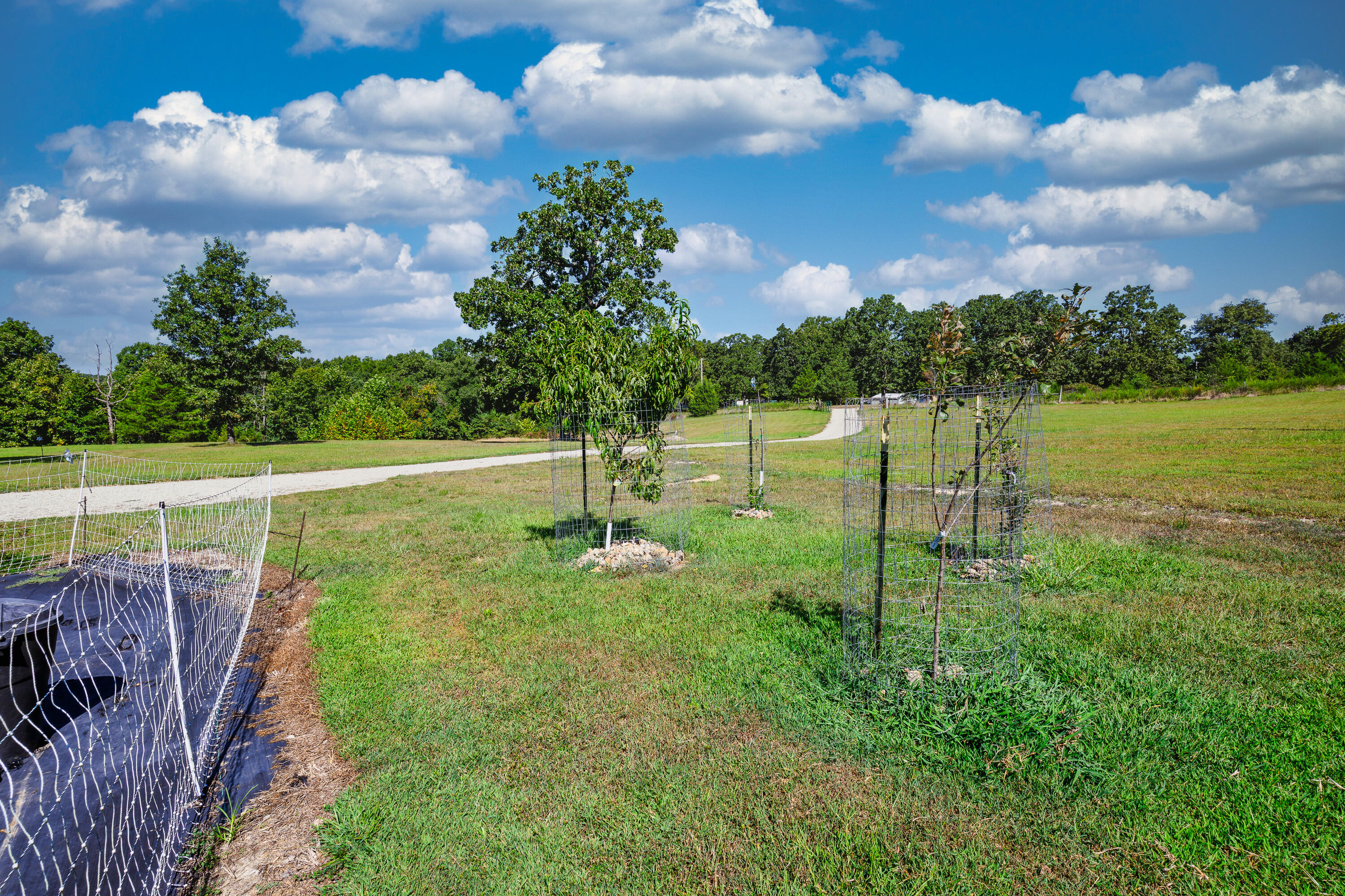 286 County Road 615b Property Photo 39