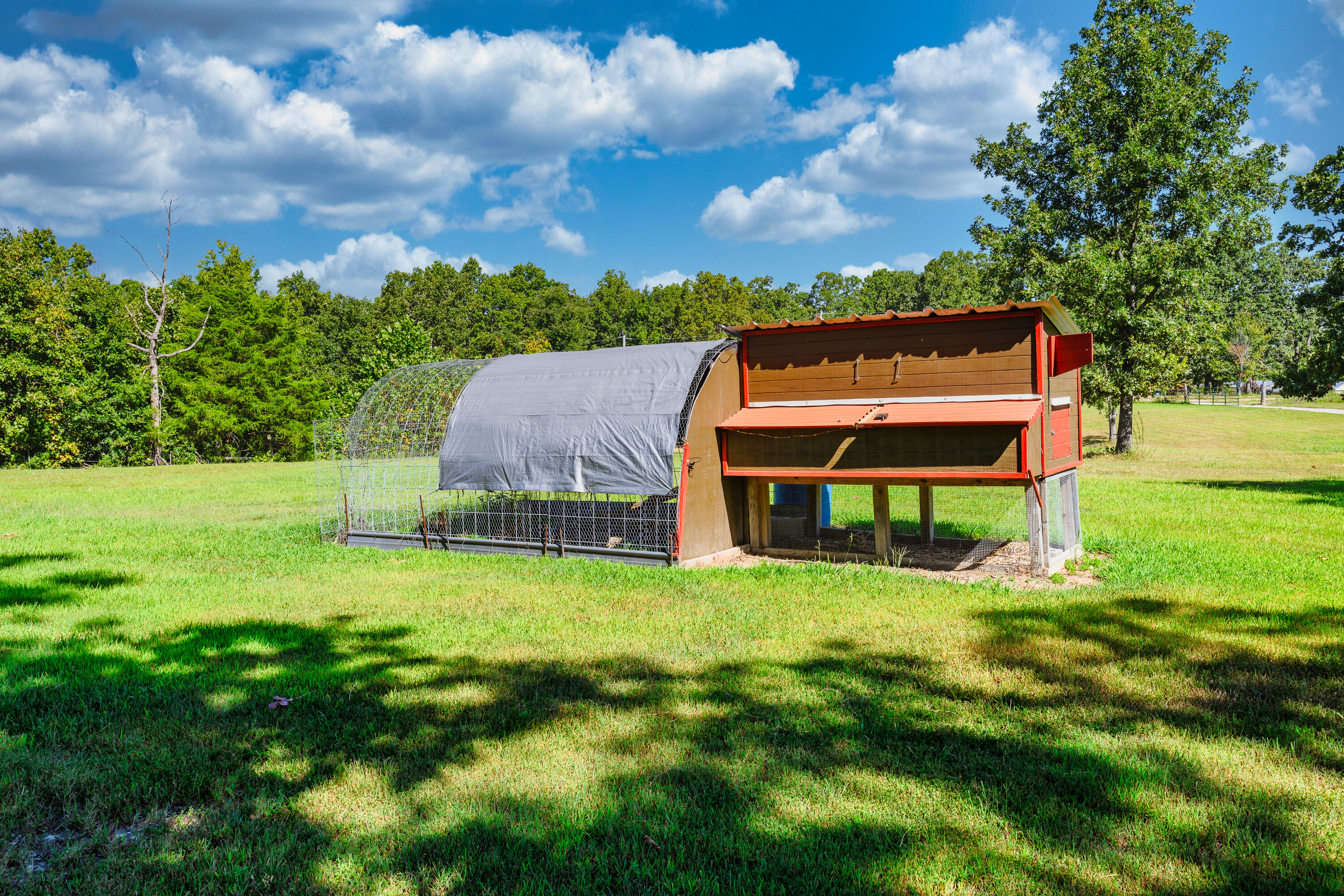286 County Road 615b Property Photo 42