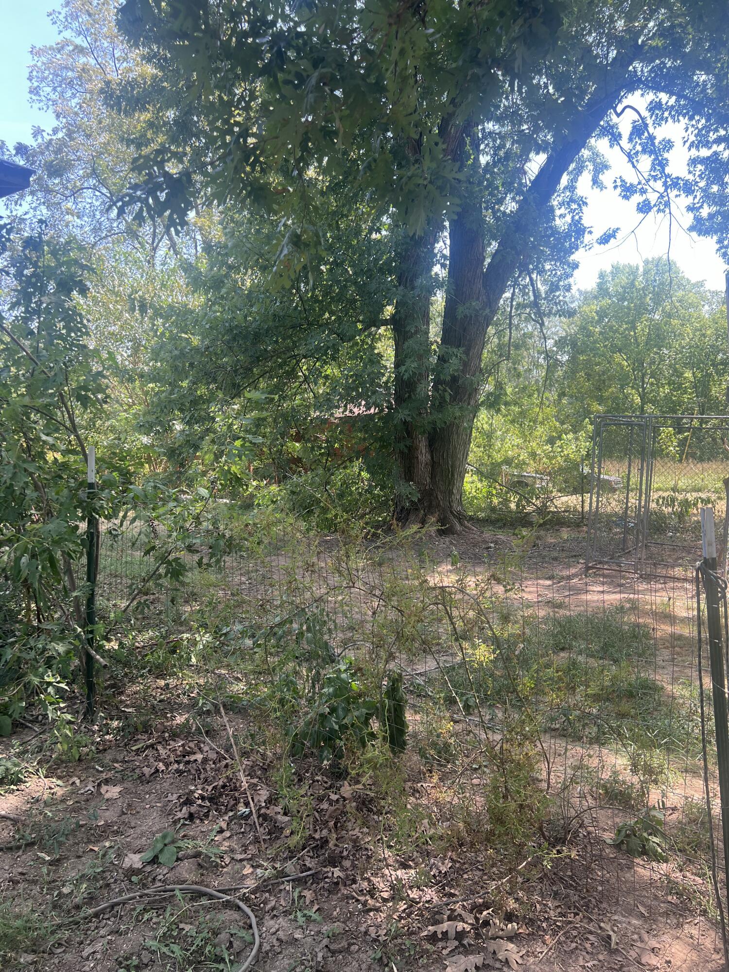 1759 East 555th Road Property Photo 6