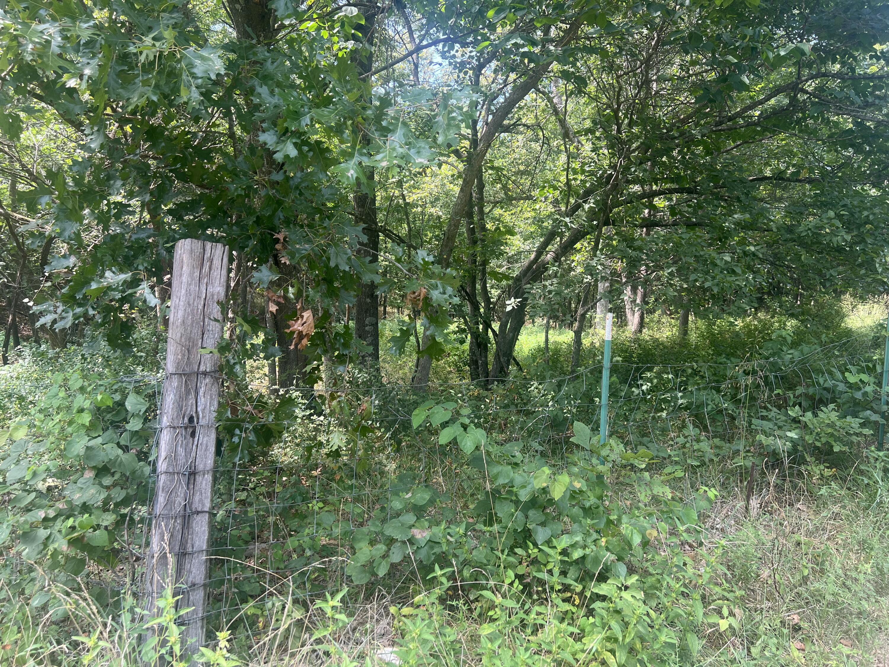 1759 East 555th Road Property Photo 8