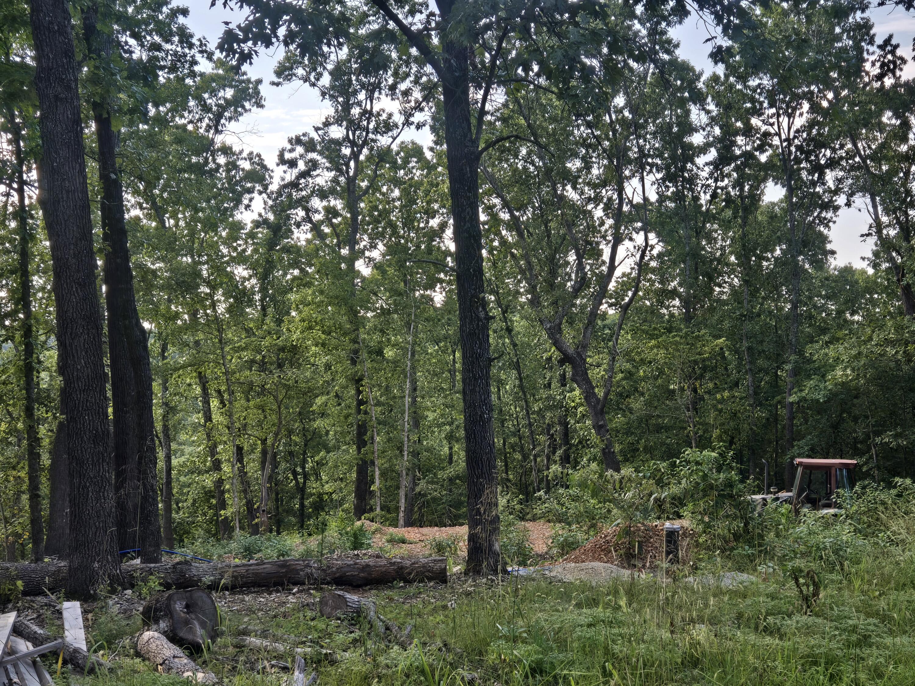 Lot 74 Property Photo 1