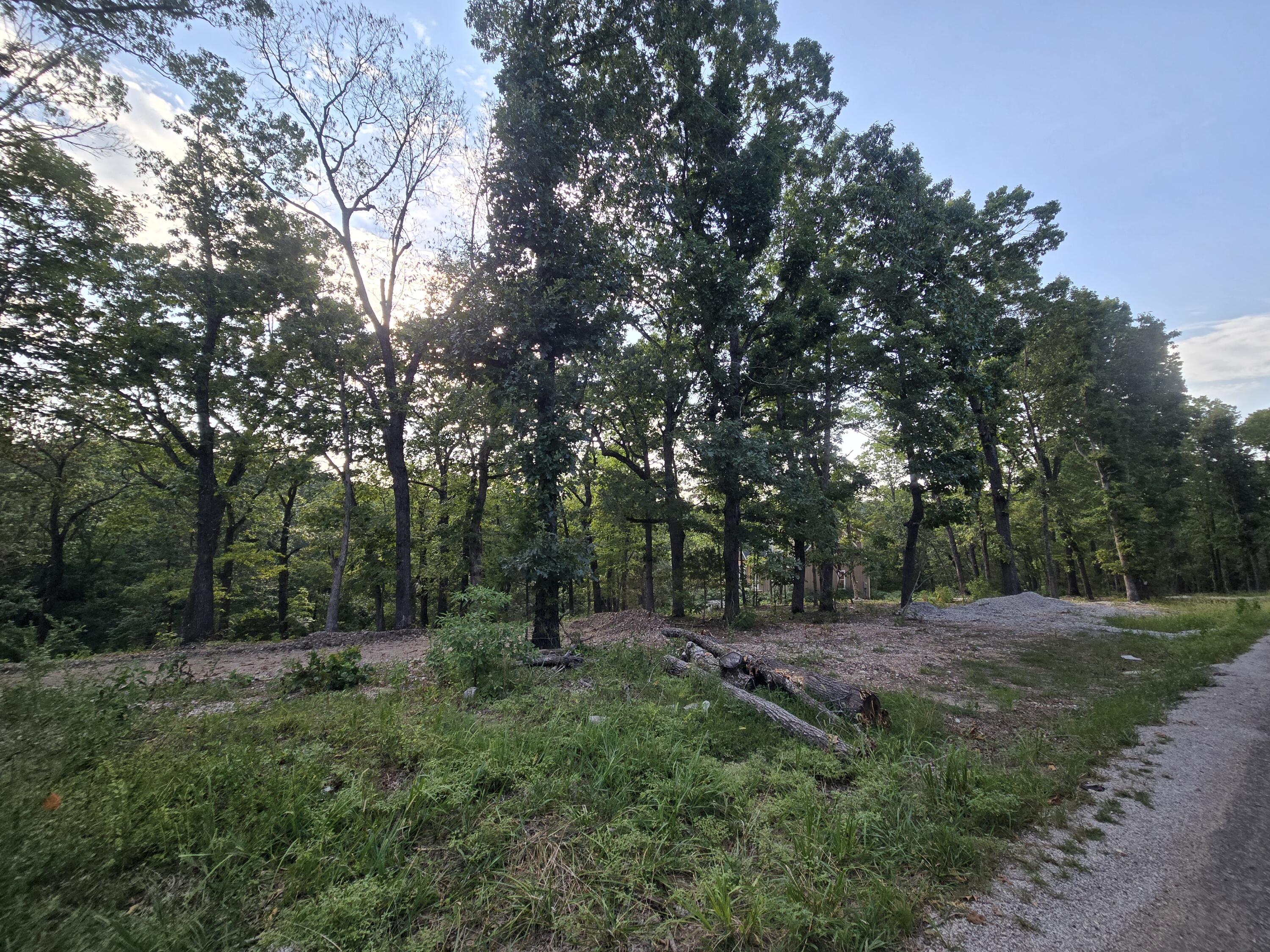 Lot 74 Property Photo 4