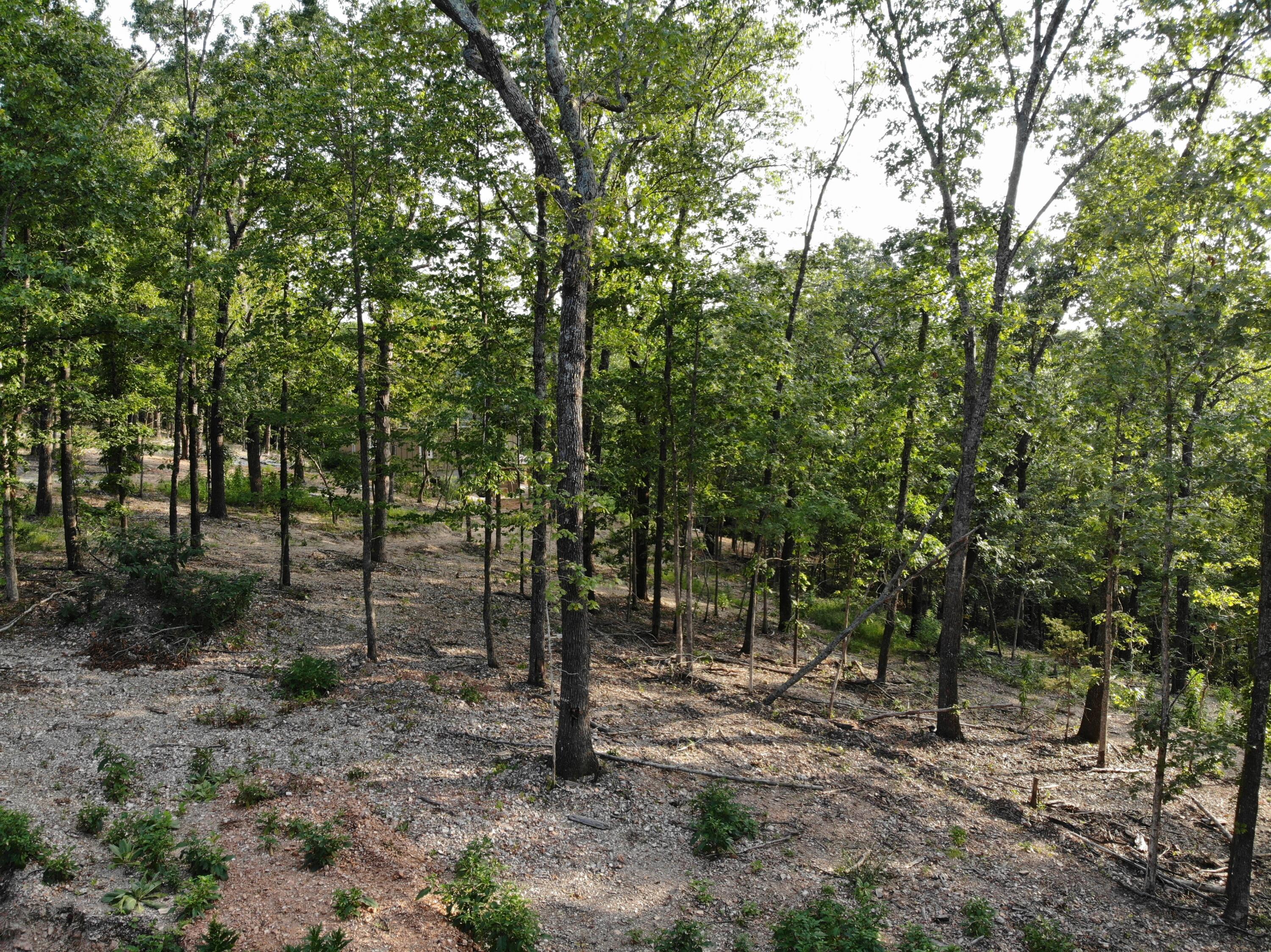 Lot 74 Property Photo 8