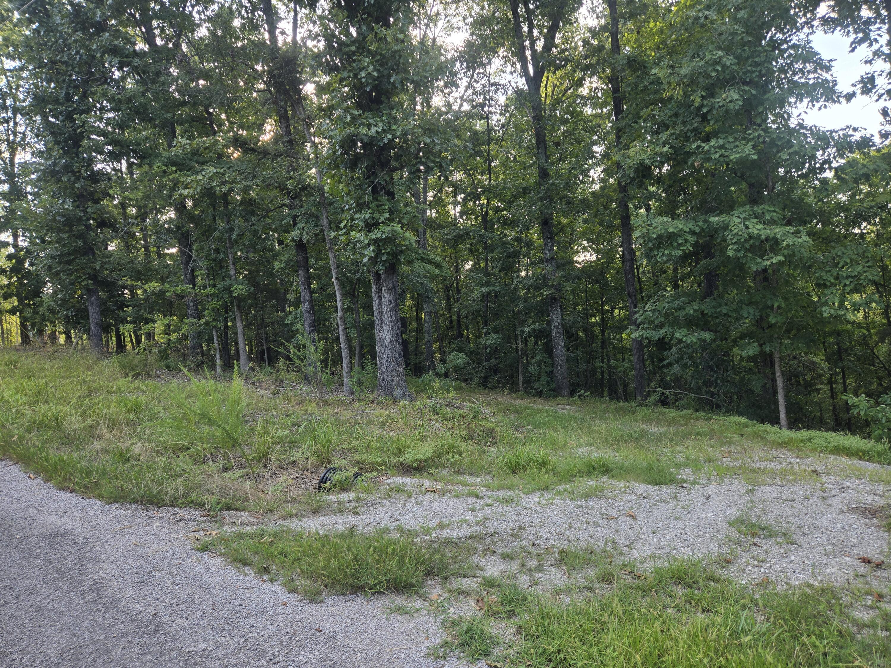 Lot 75 Property Photo 2