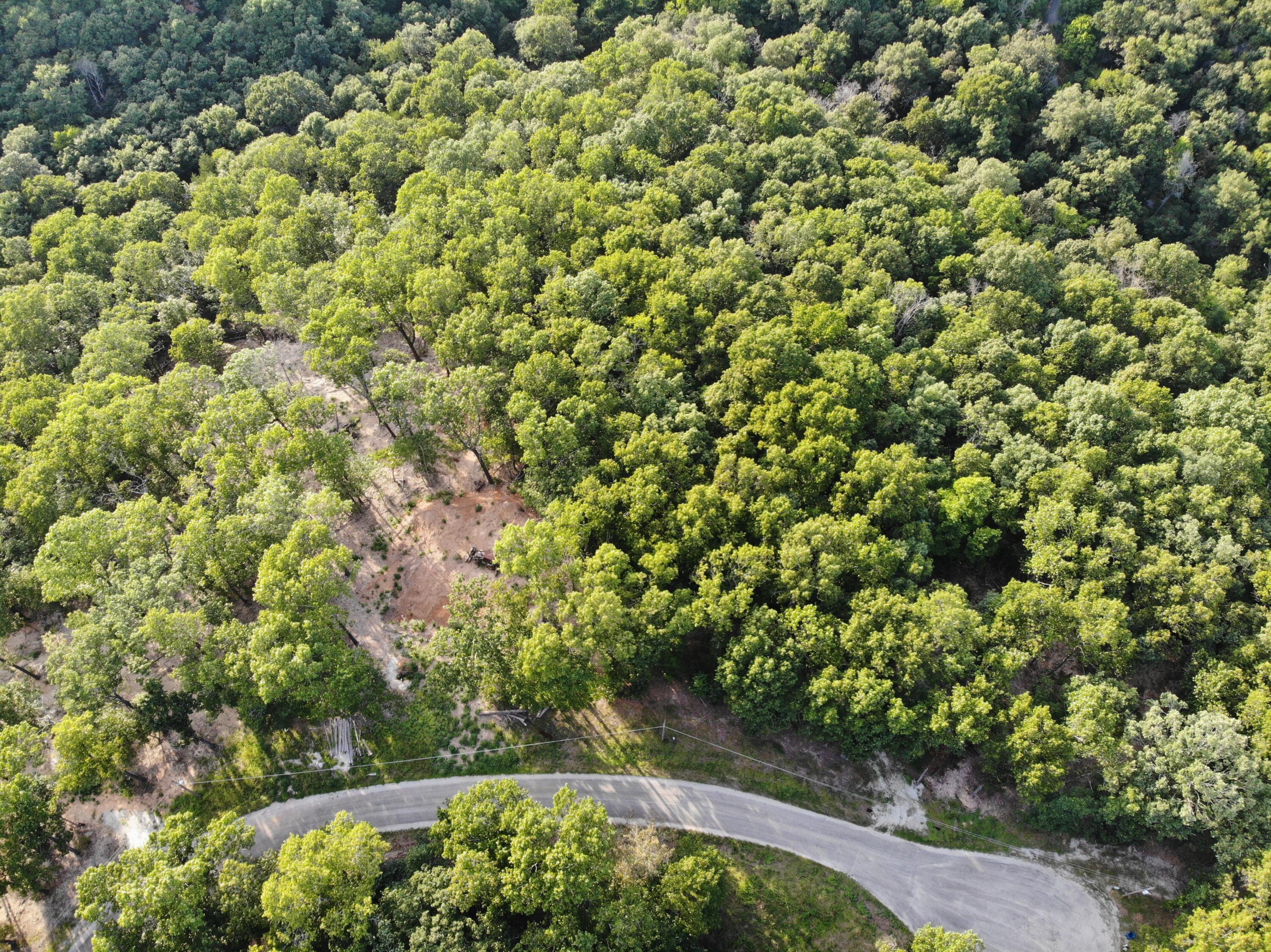 Lot 75 Property Photo 3