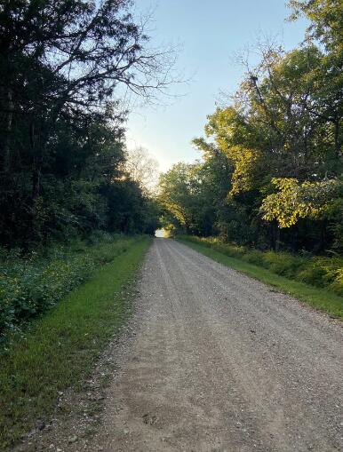 26108 Ken Haven Road Property Photo 15