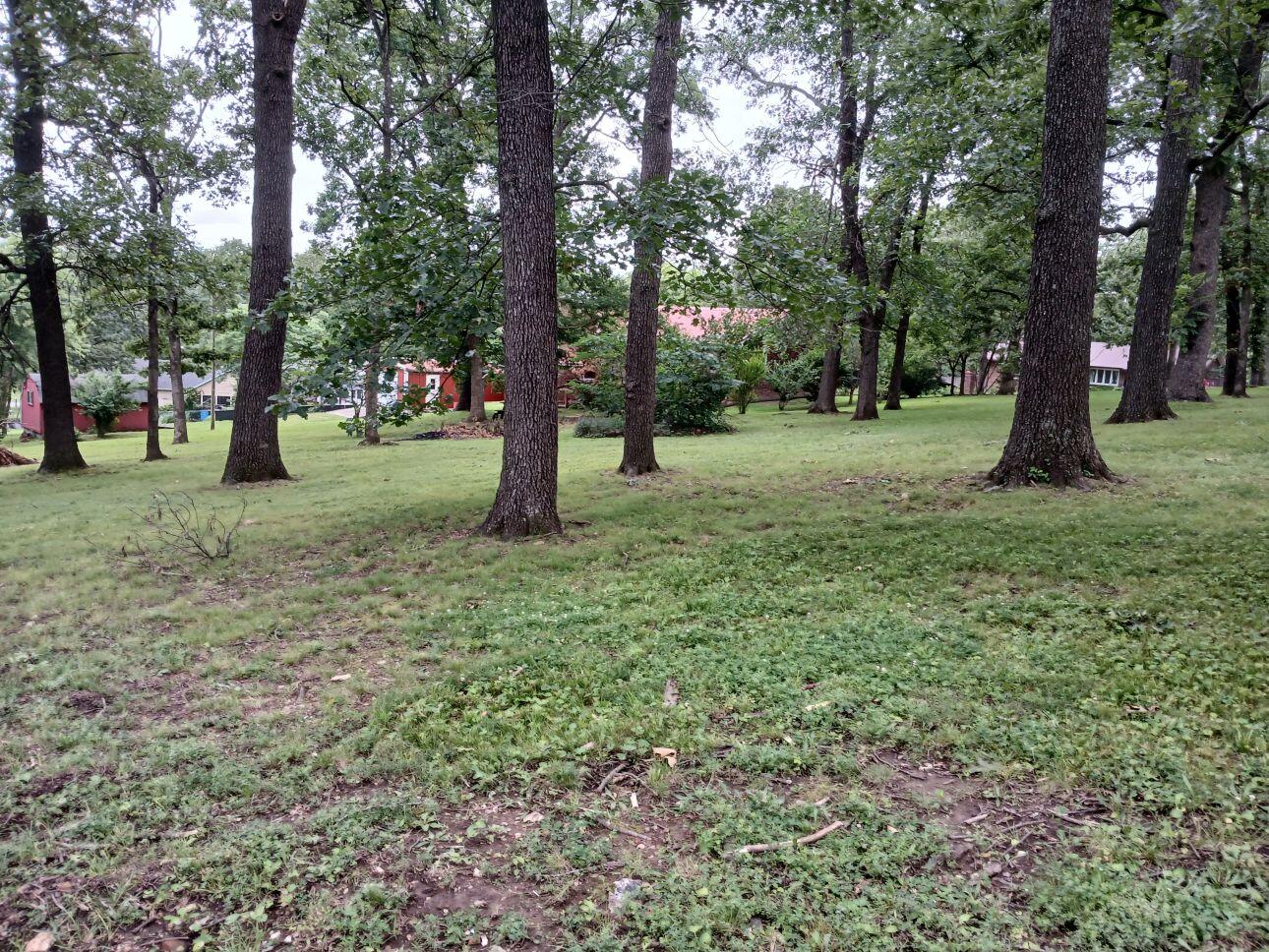 912 Elm Drive Property Photo 32