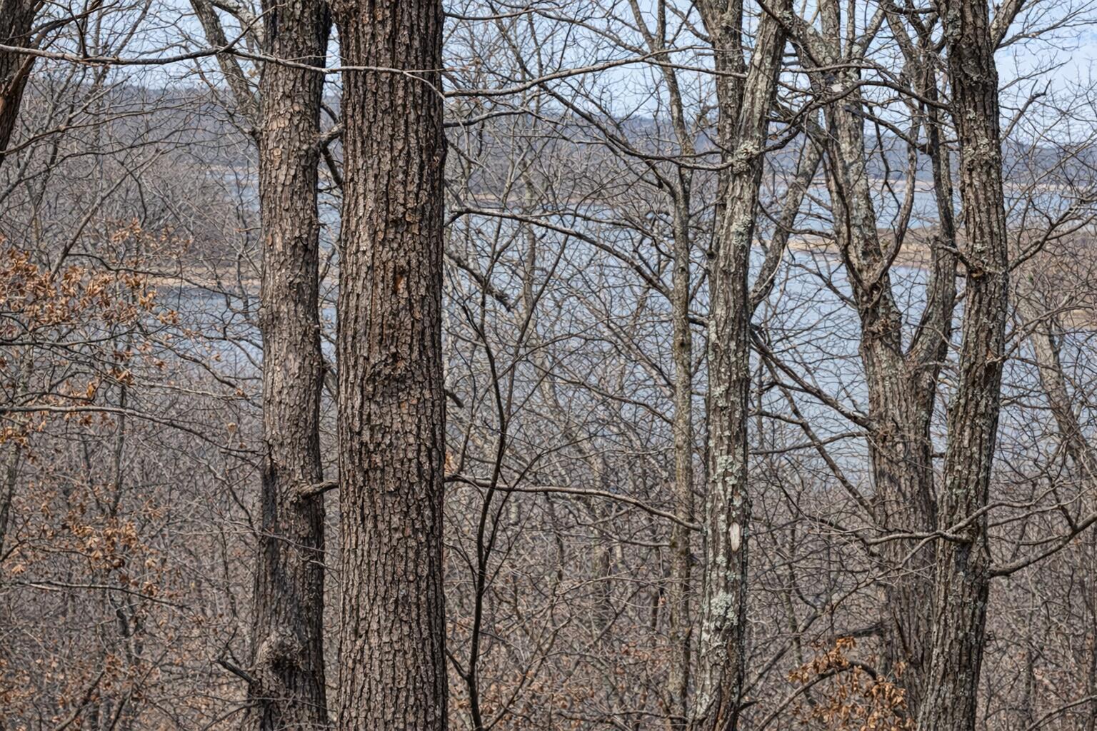 3925 Northeast 1075 Private Road Property Photo 6