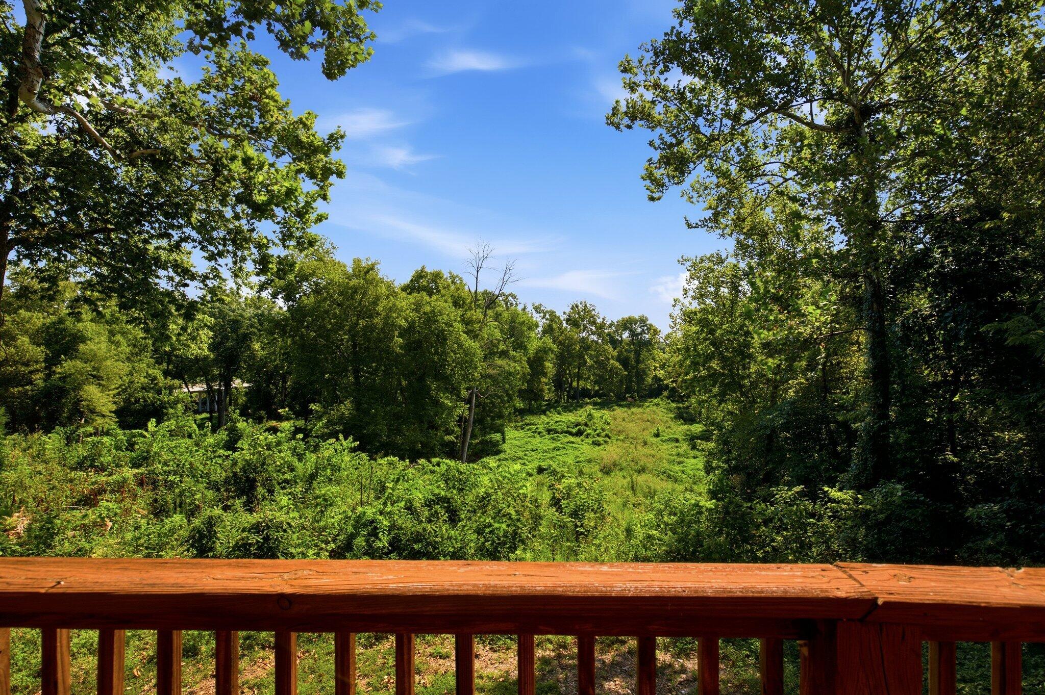 810 Missouri 215 Property Photo 3