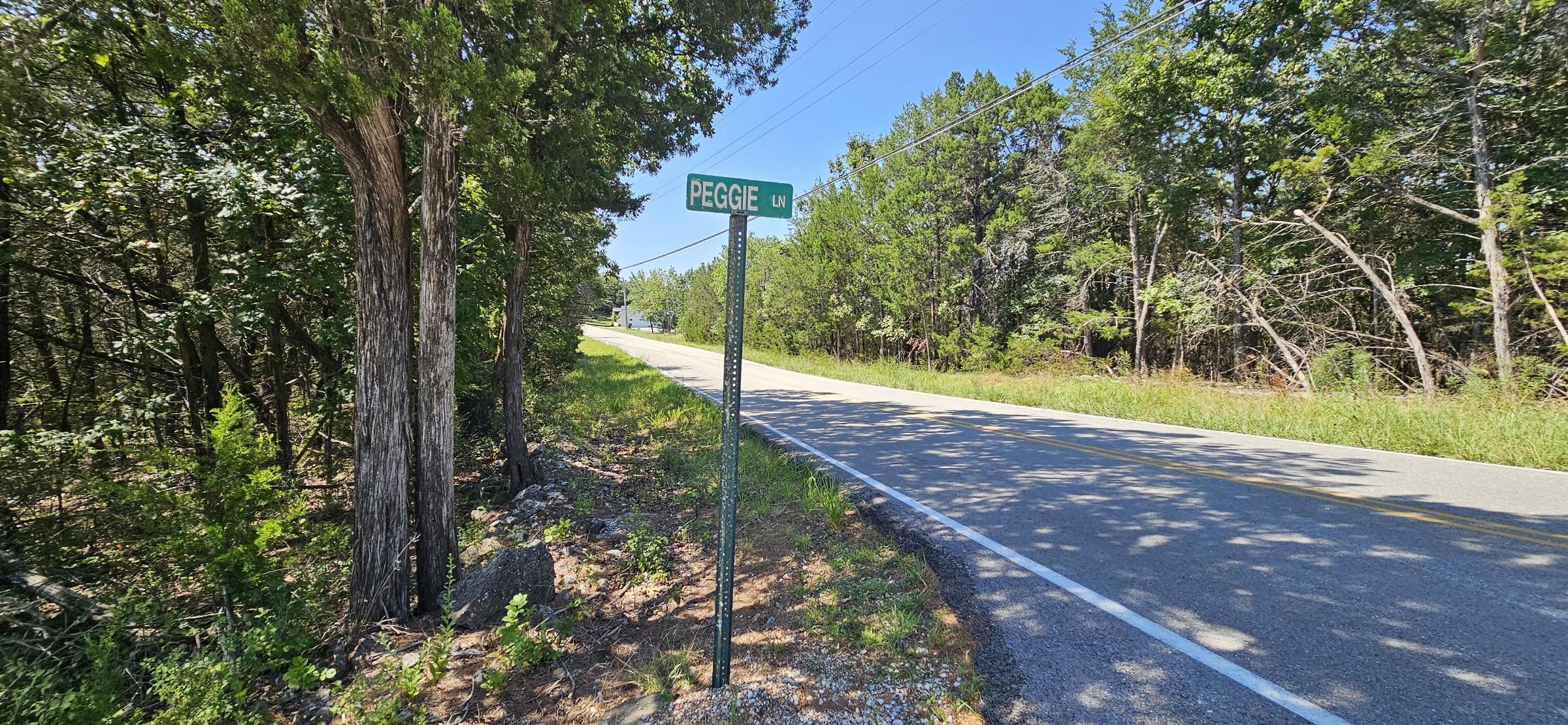 000 Pioneer Point Road Property Photo 6