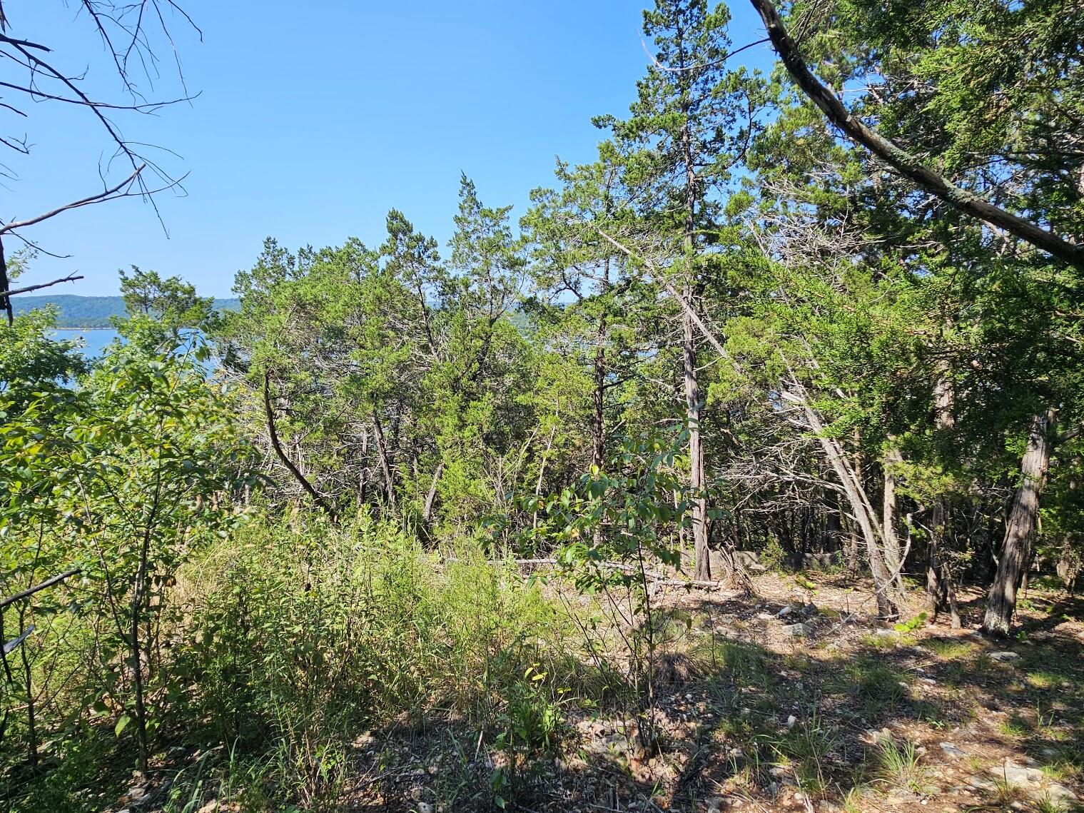 000 Pioneer Point Road Property Photo 7