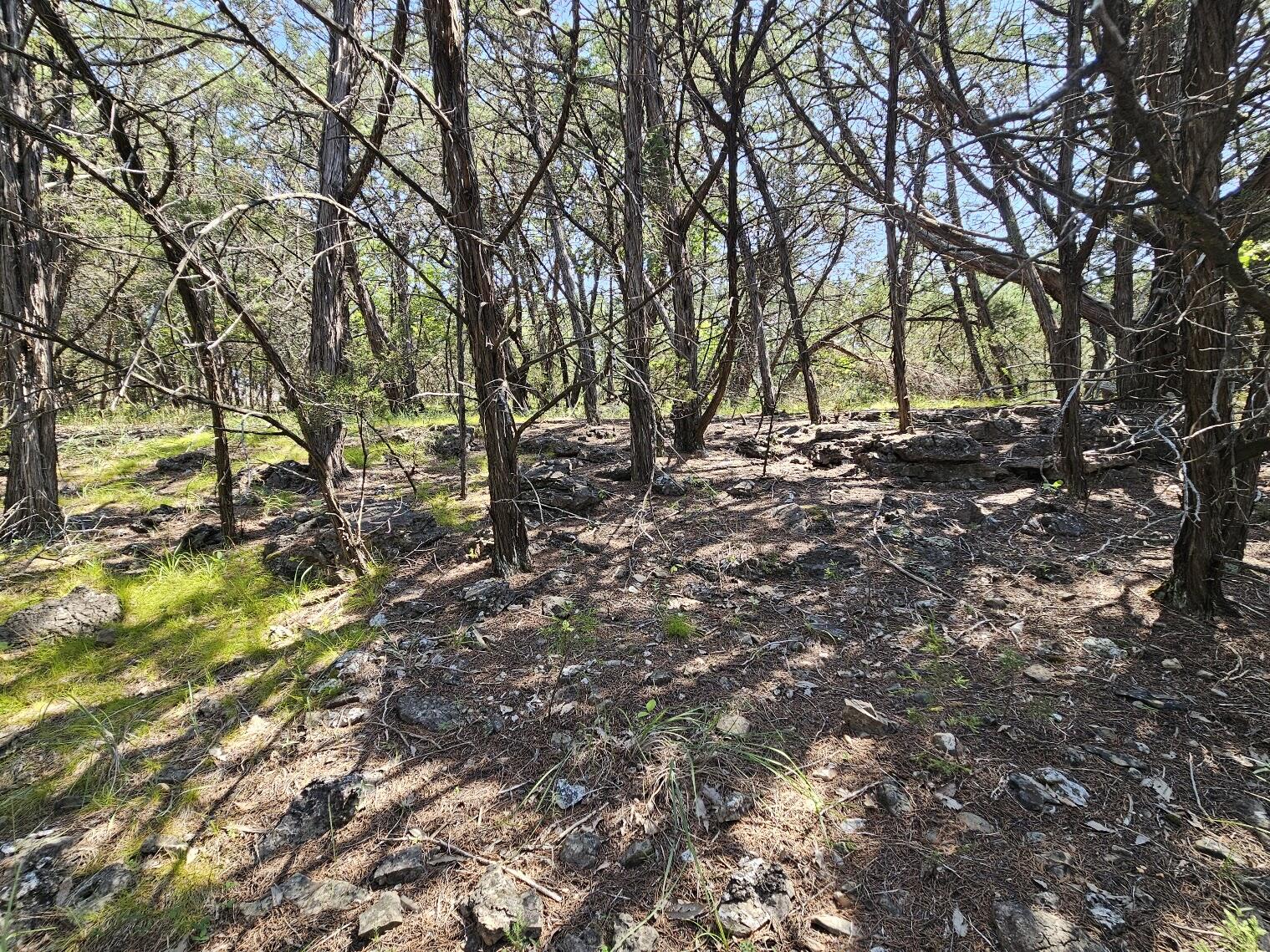 000 Pioneer Point Road Property Photo 21