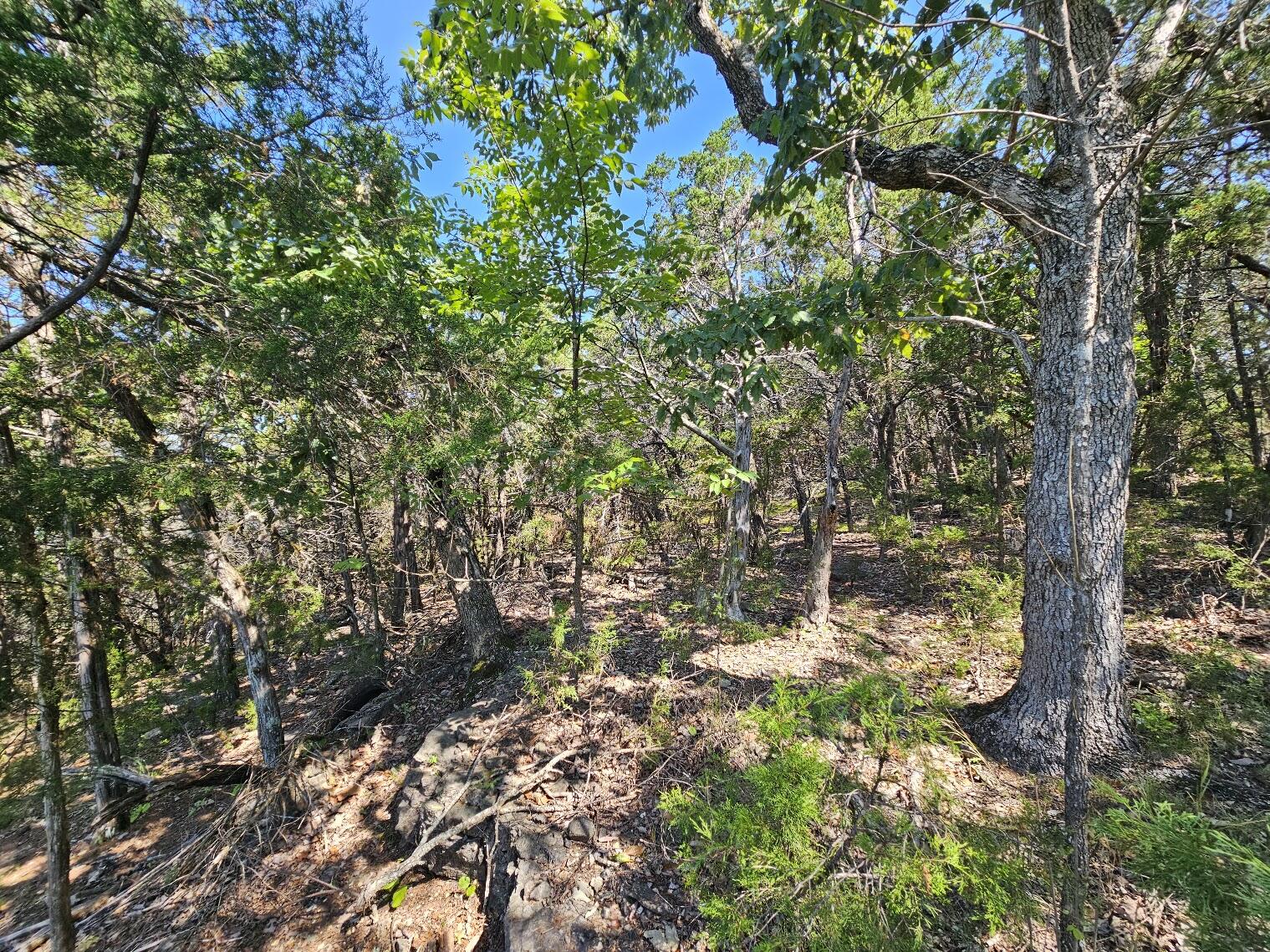 000 Pioneer Point Road Property Photo 22