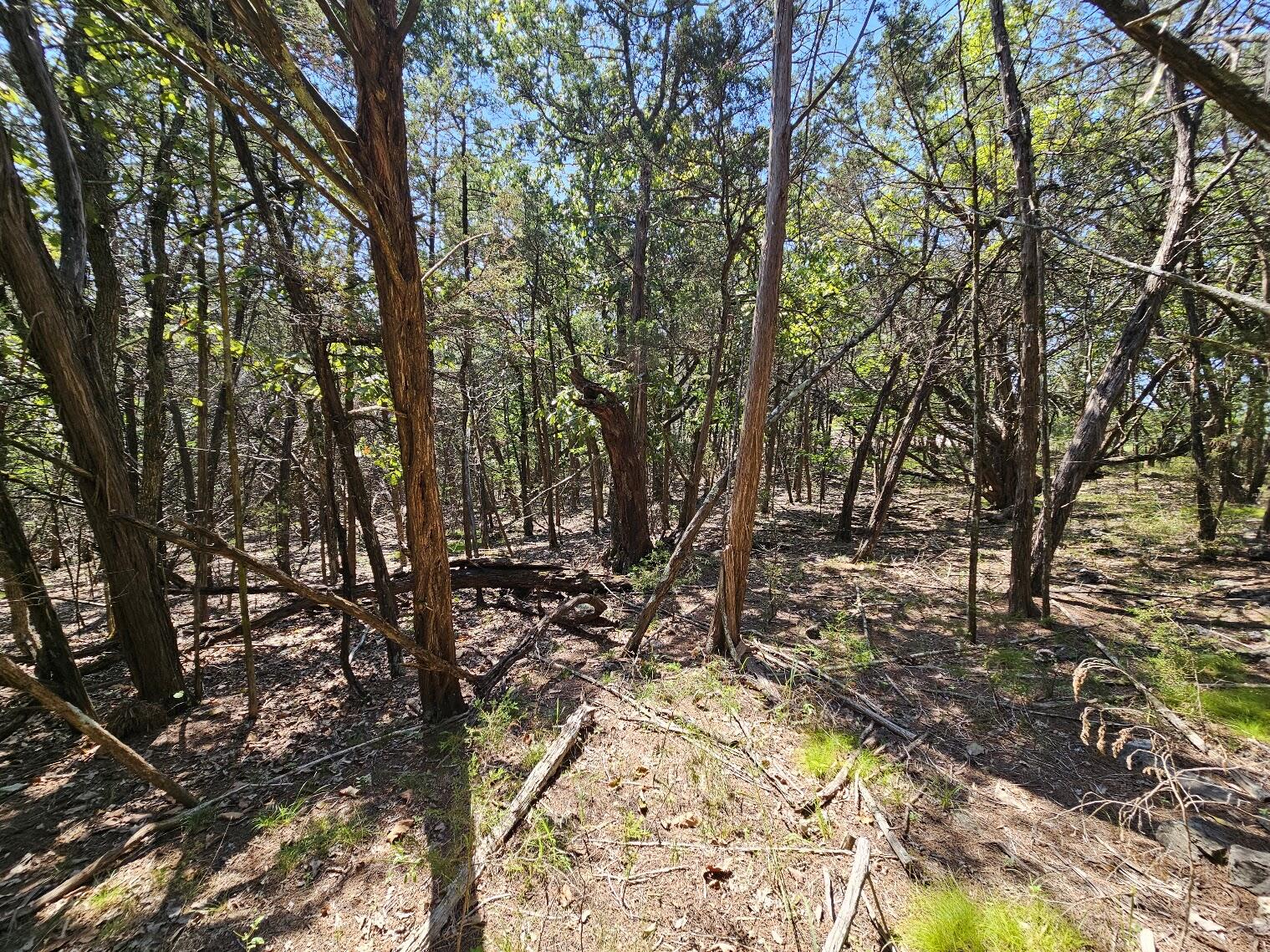 000 Pioneer Point Road Property Photo 23