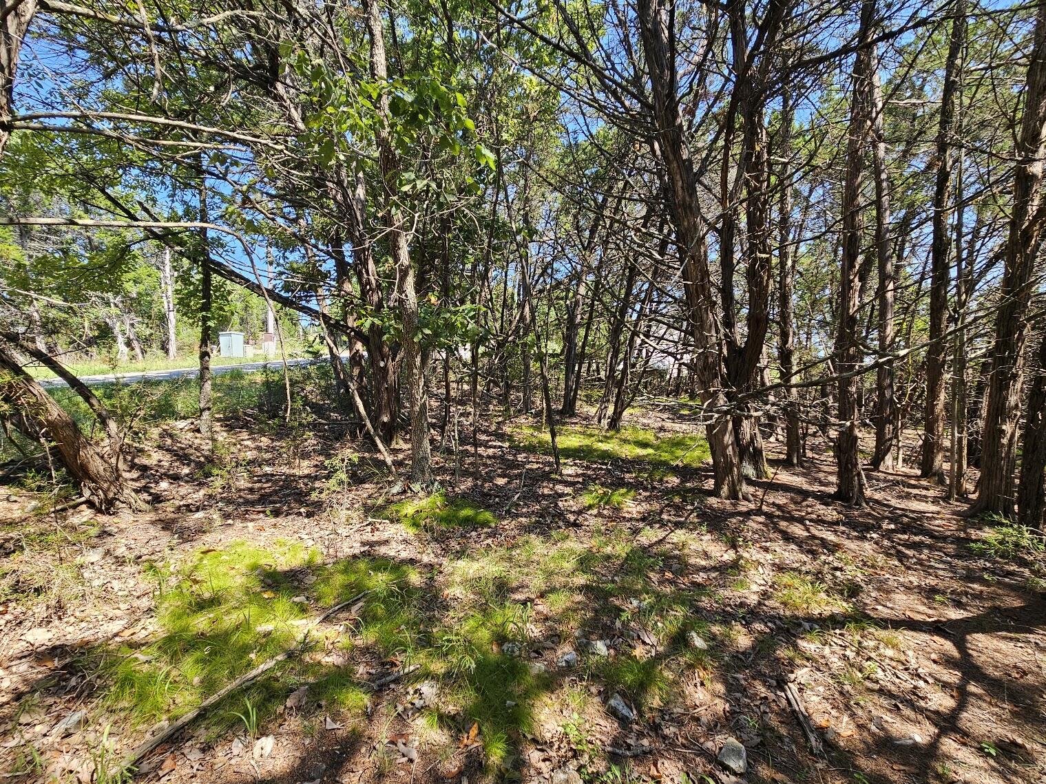 000 Pioneer Point Road Property Photo 24