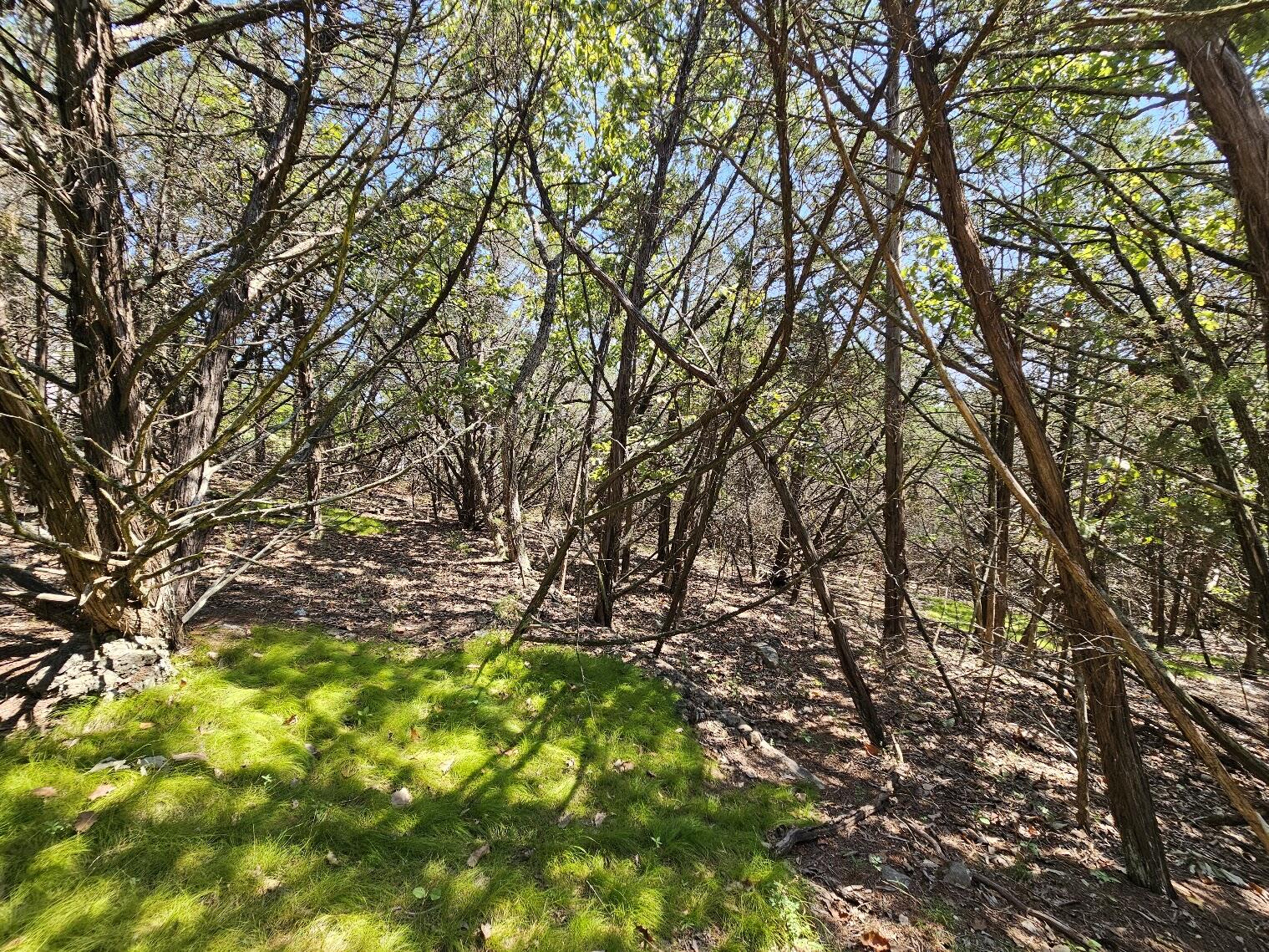 000 Pioneer Point Road Property Photo 25