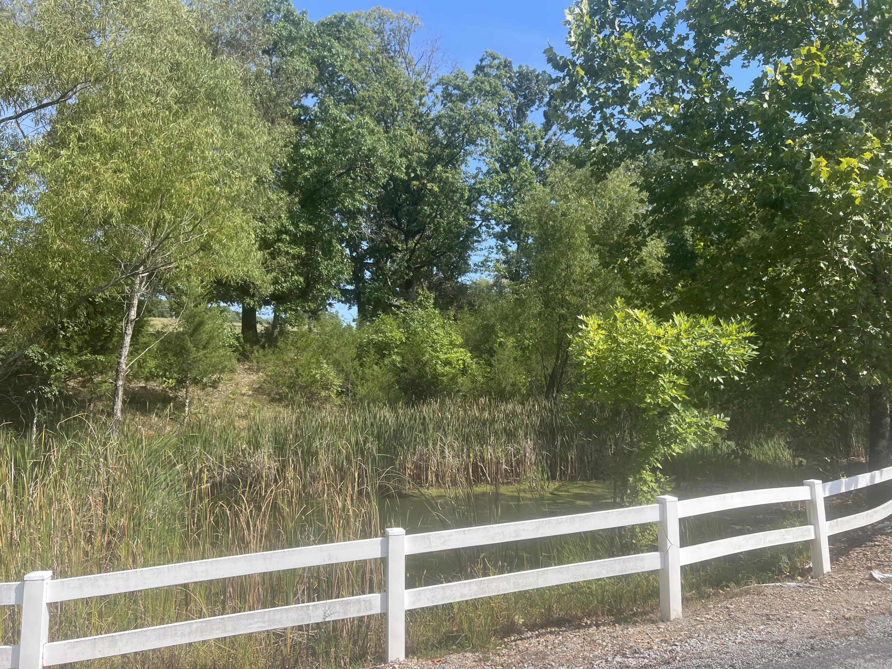 000 Lake Ranch Road Property Photo 20