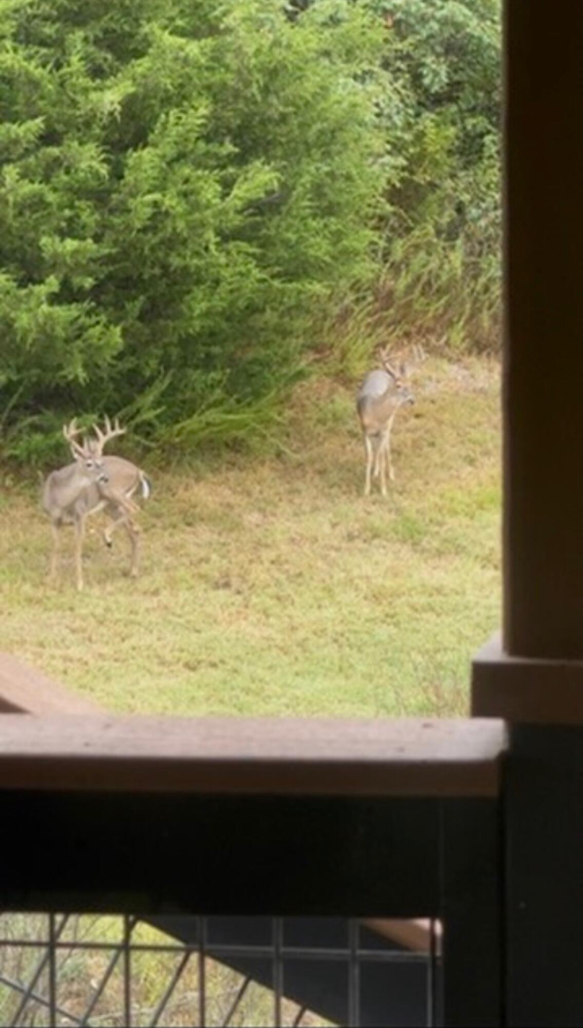 76 Hunters Drive Property Photo 22